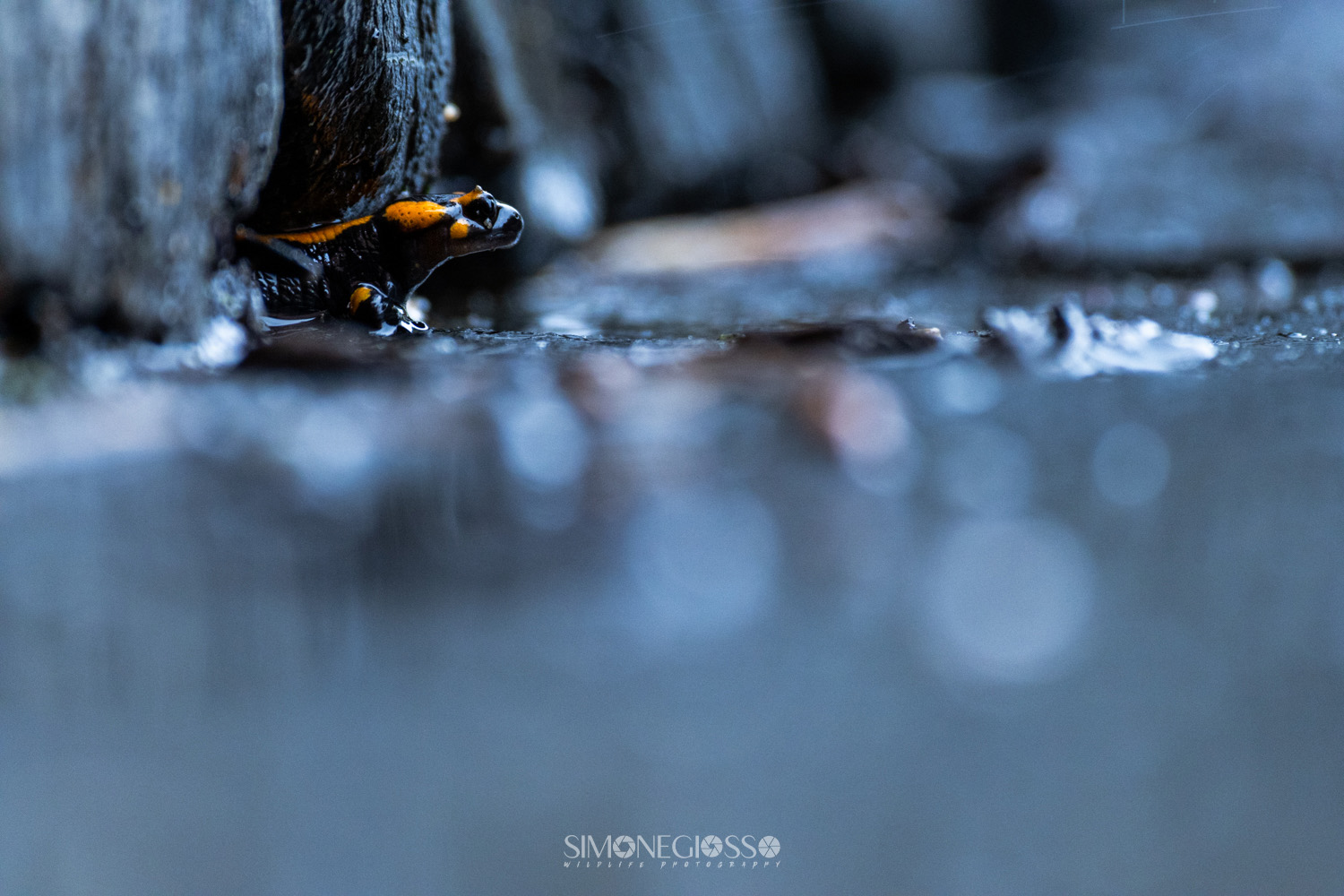 Blu e acqua