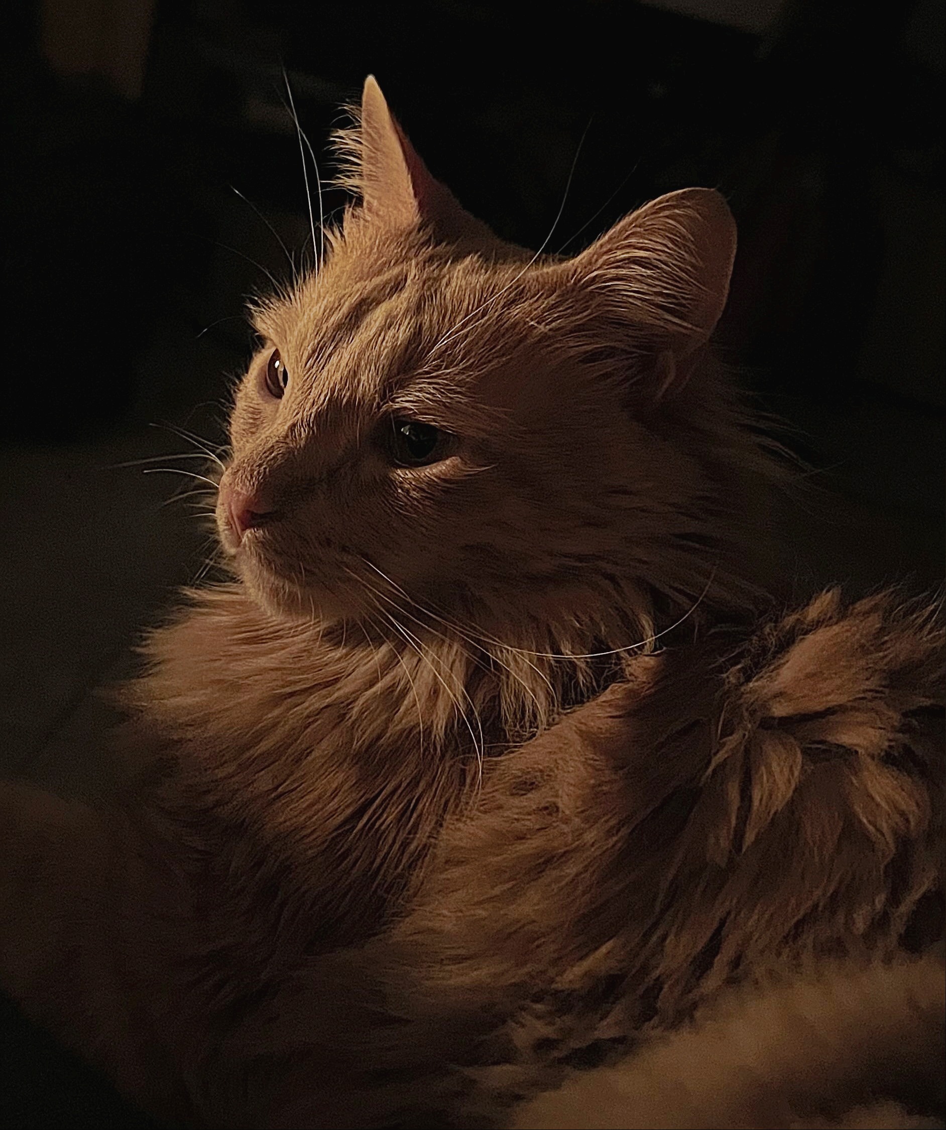 Soju a lume di candela