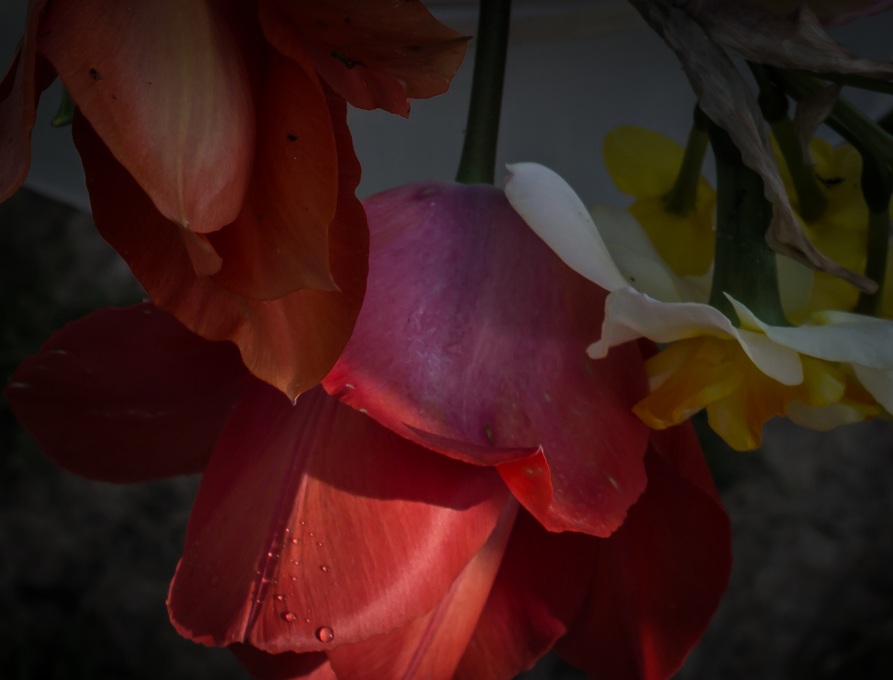 Spring sunshine