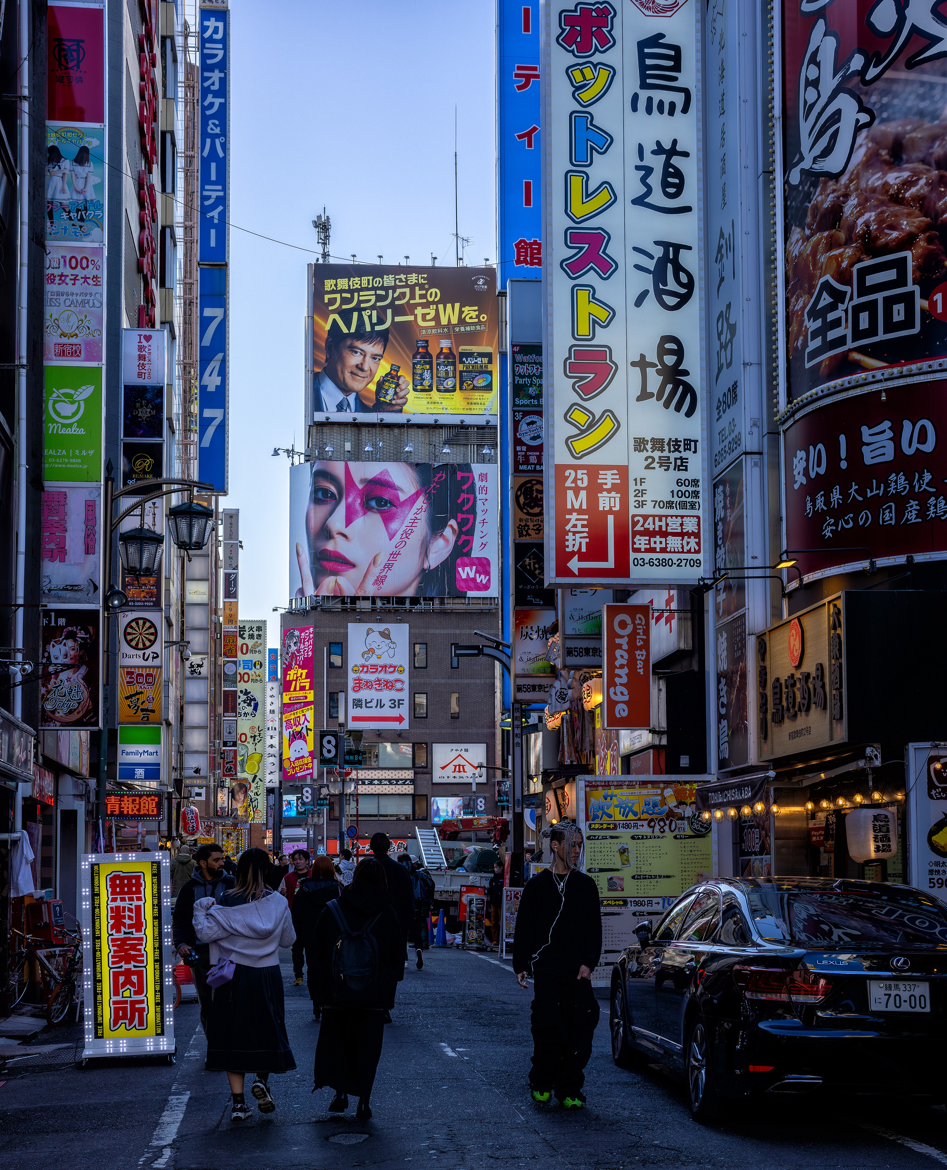 Through the streets of Kabukicho (Tokyo)