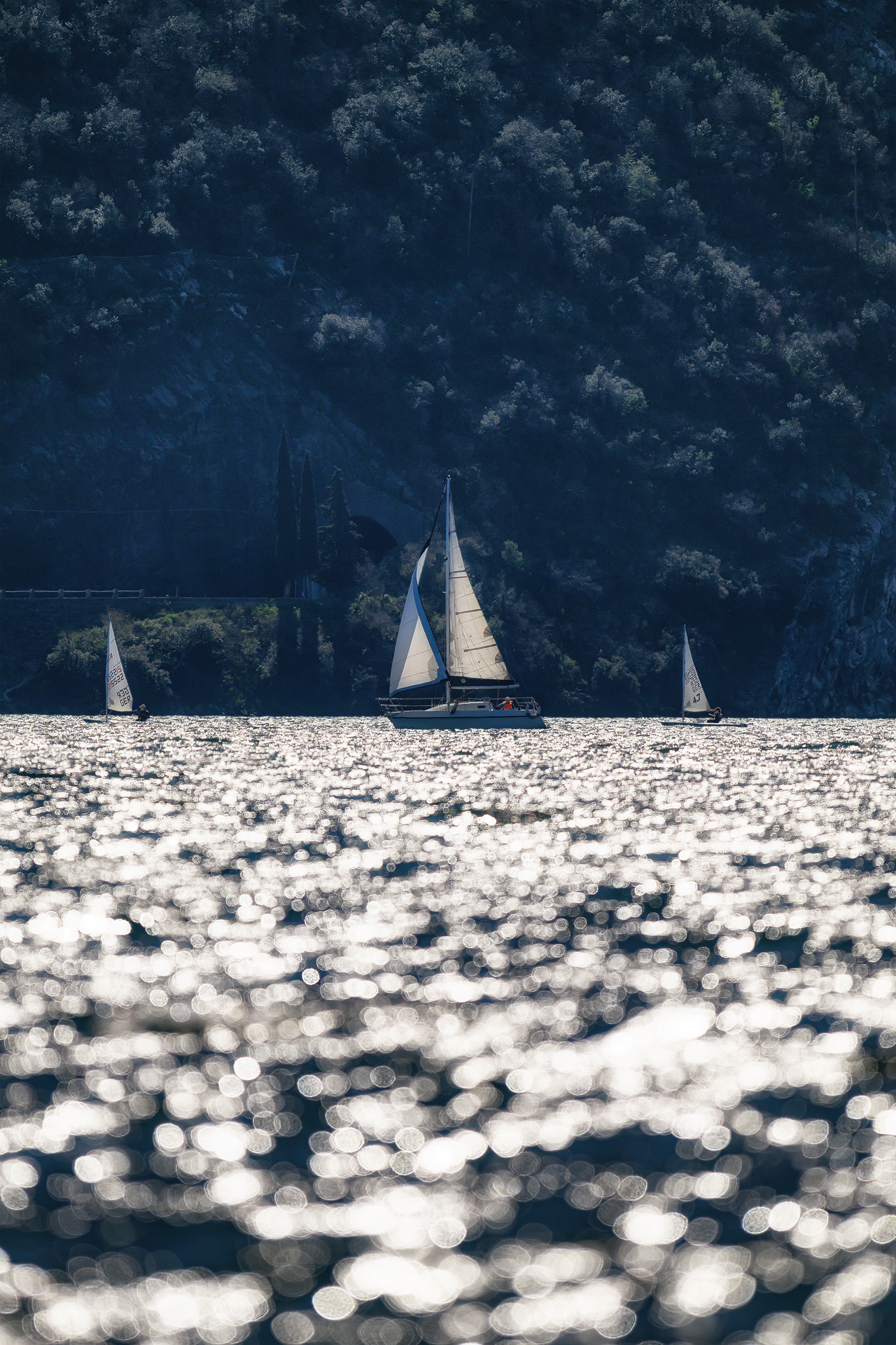 Silver sailing