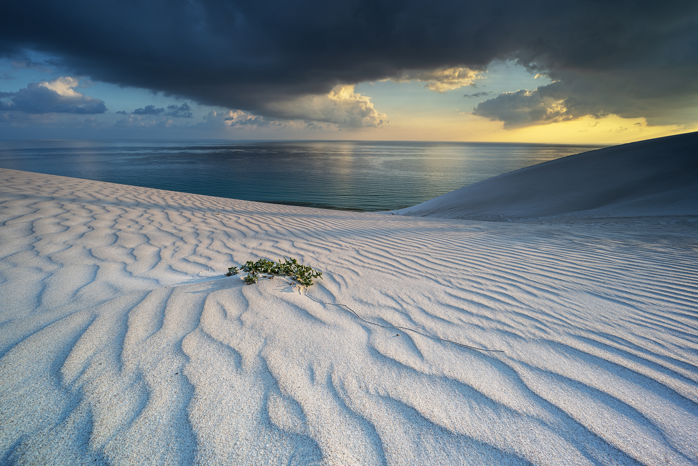 At dawn