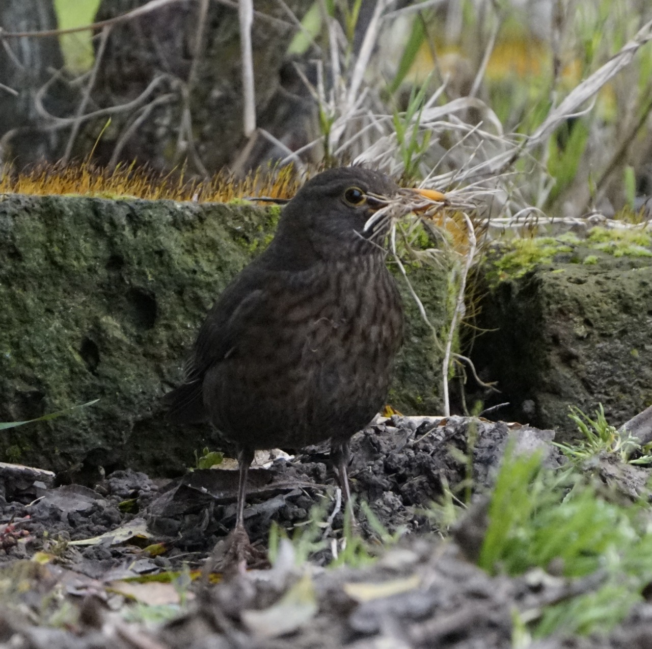 Work in progress....