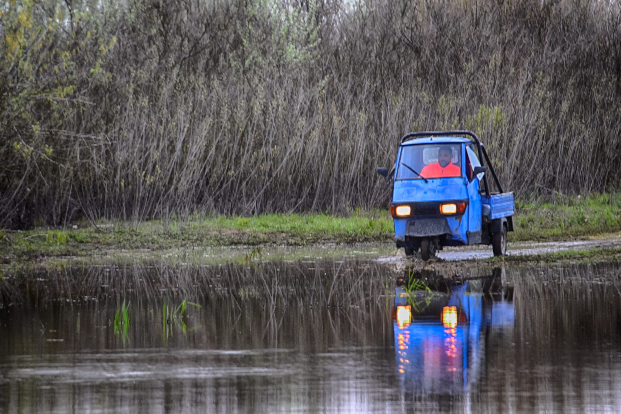 Disembarkation in the Marshes
