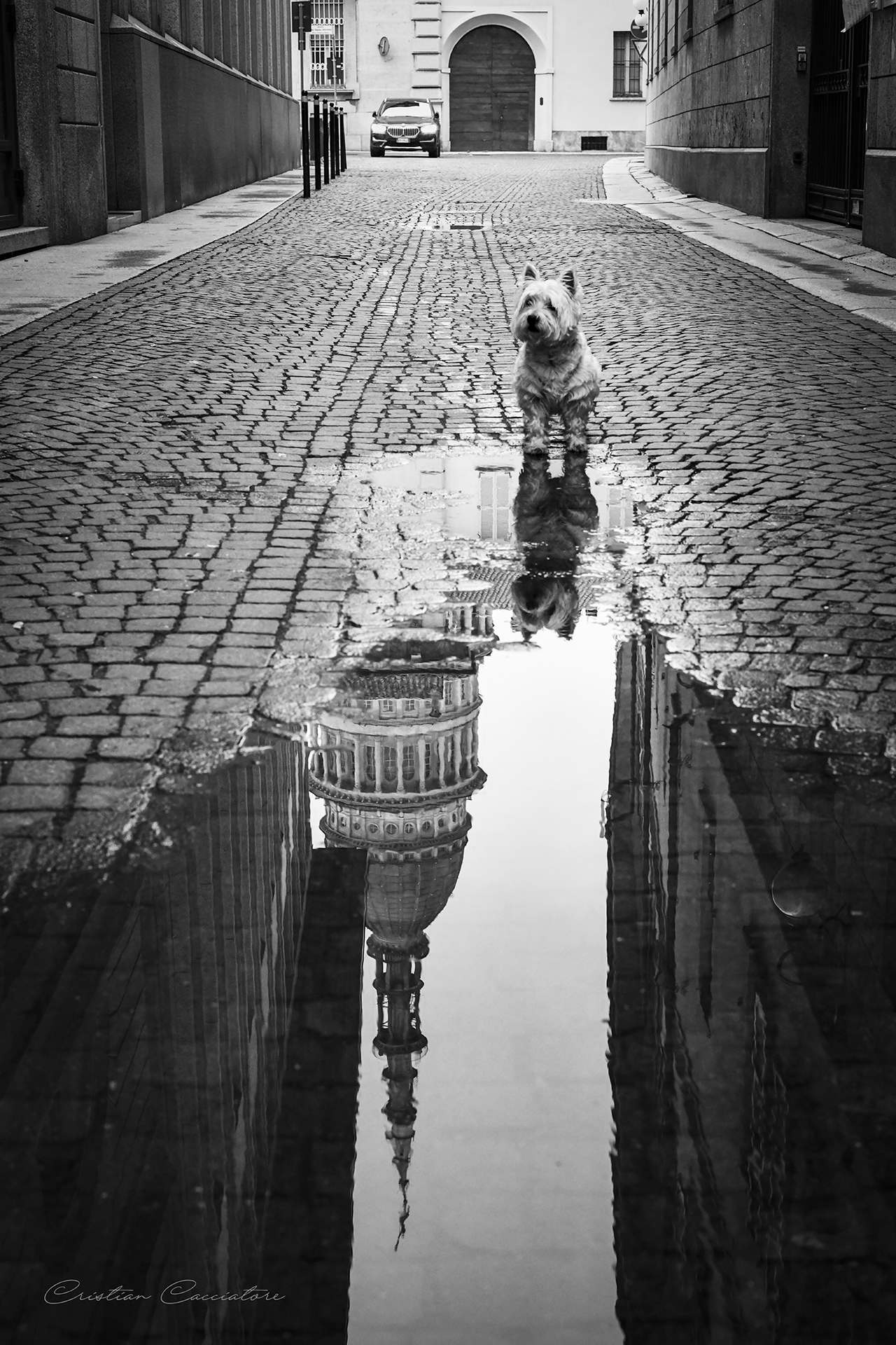 Street Photography-Novara 2024