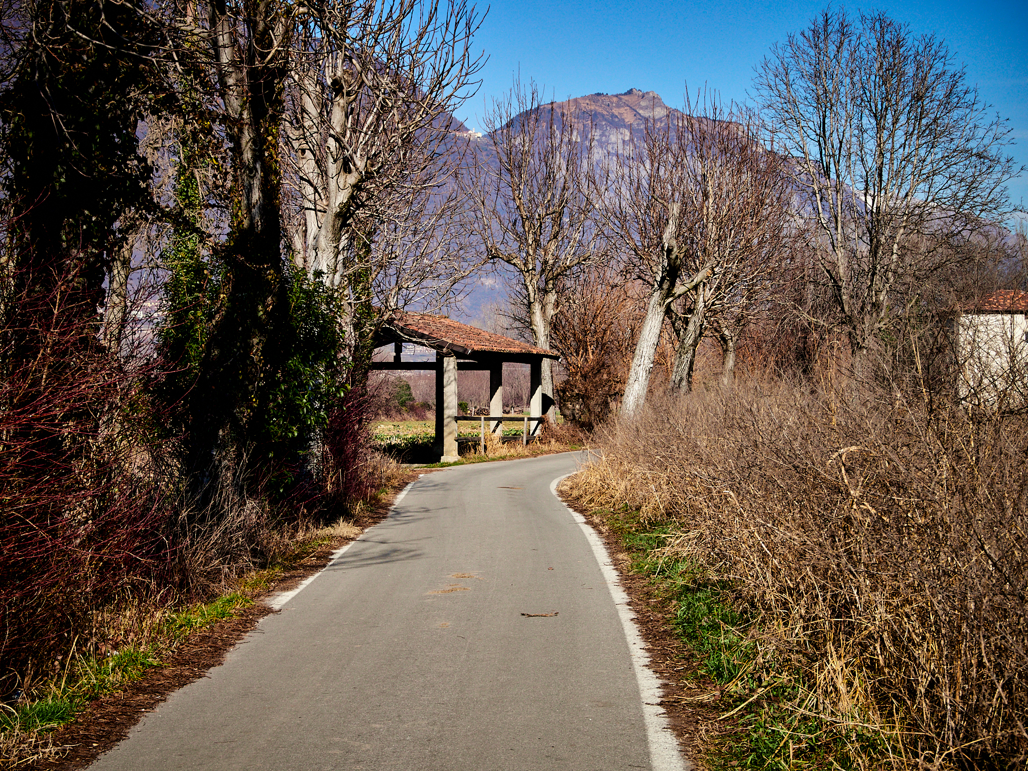 segui il cammino