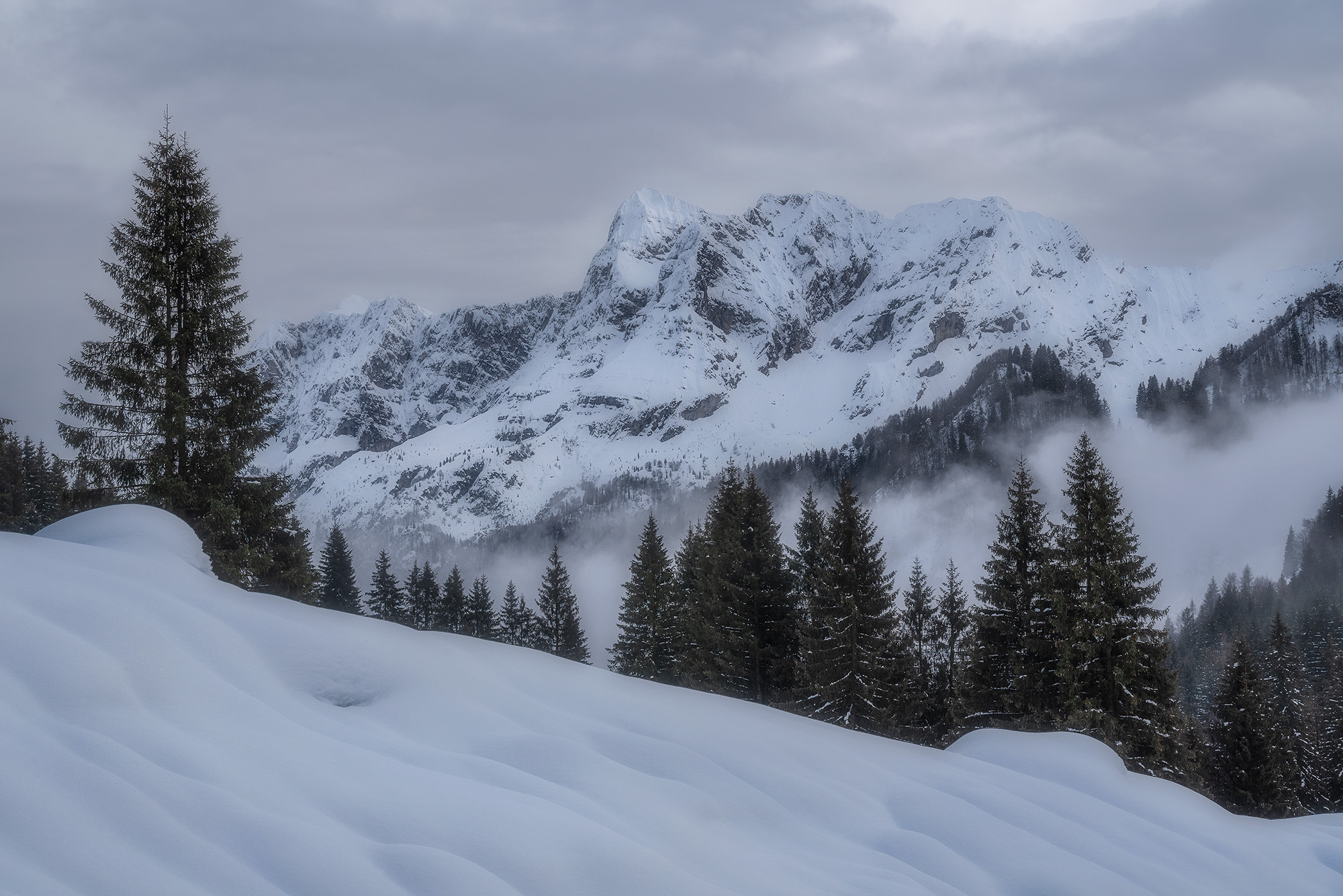 Nebbia in dissolvenza