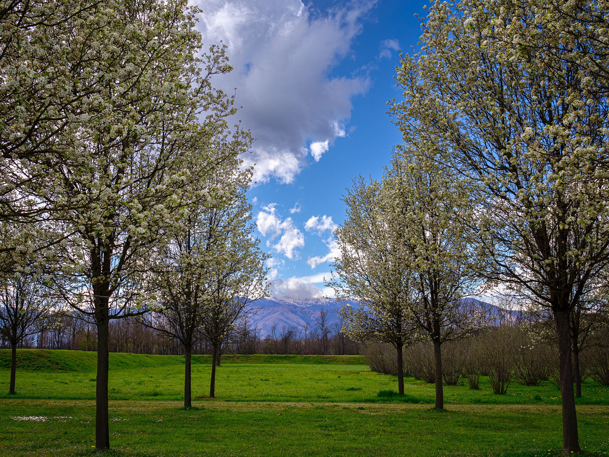 From the gardens of the Royal Palace of Venaria