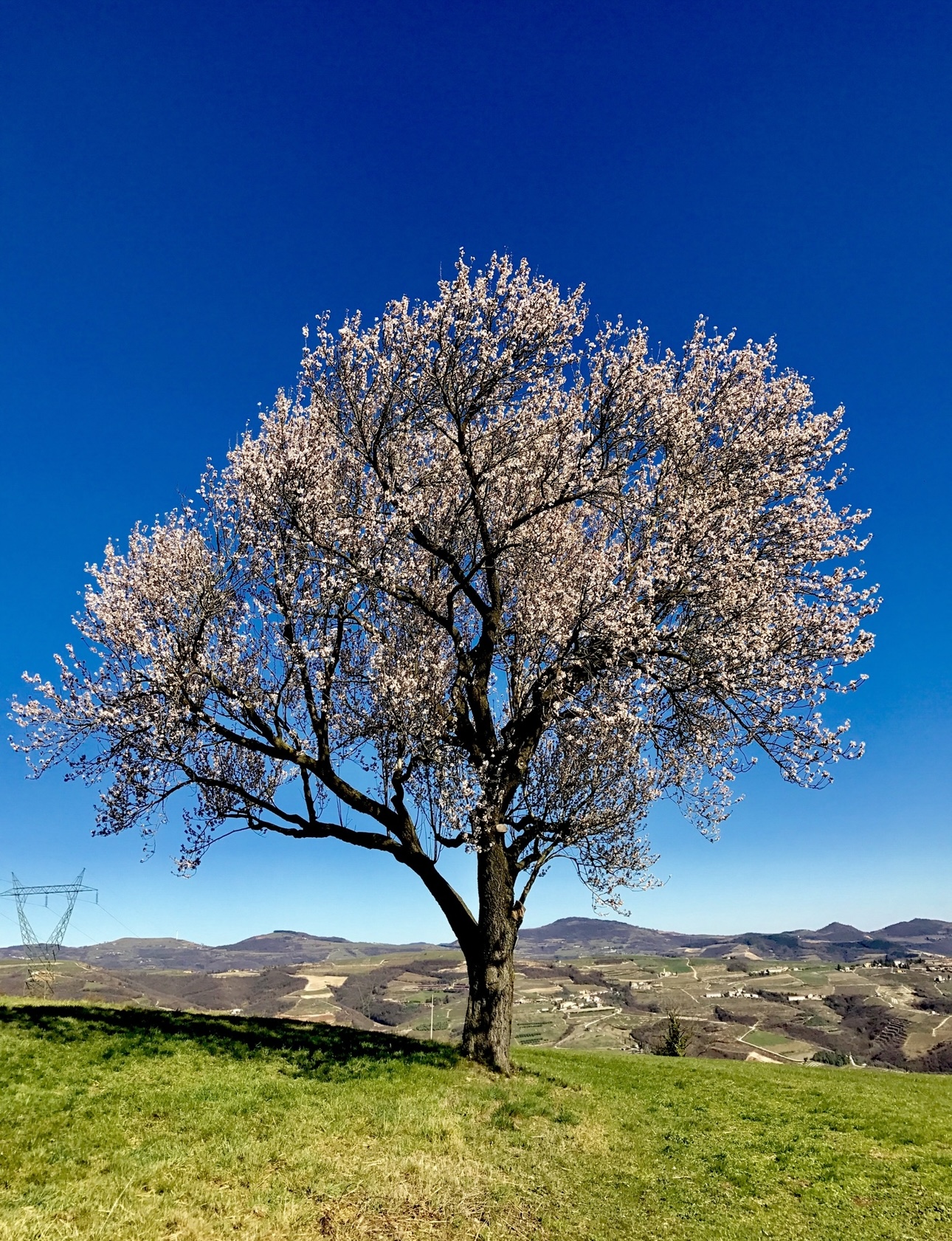 Spettacolo della natura
