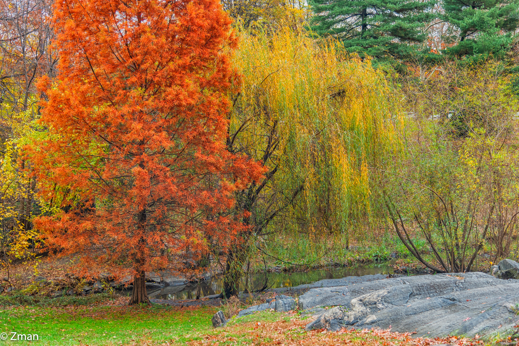 Central Park NY Colori autunnali