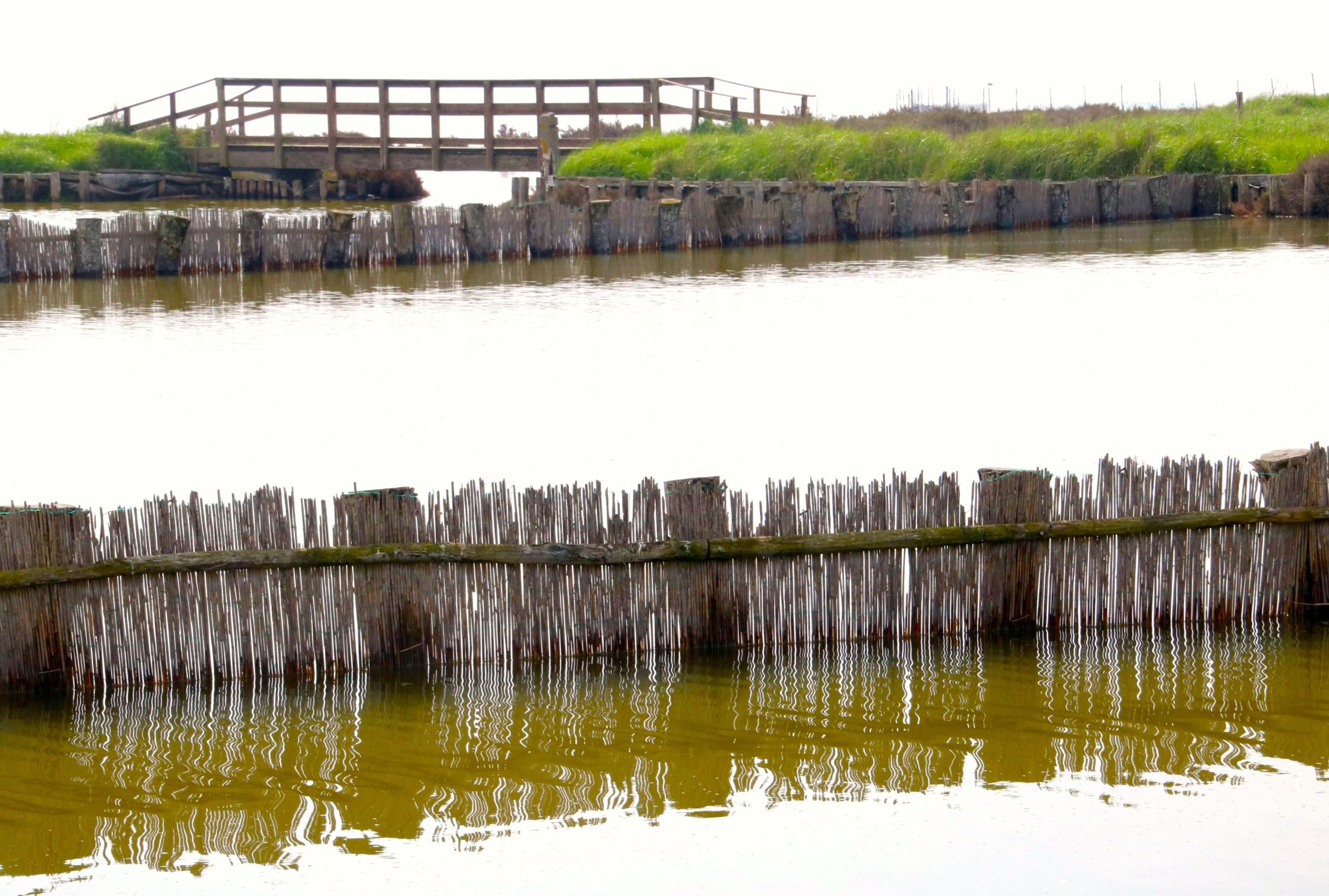 Il ponte e la barriera