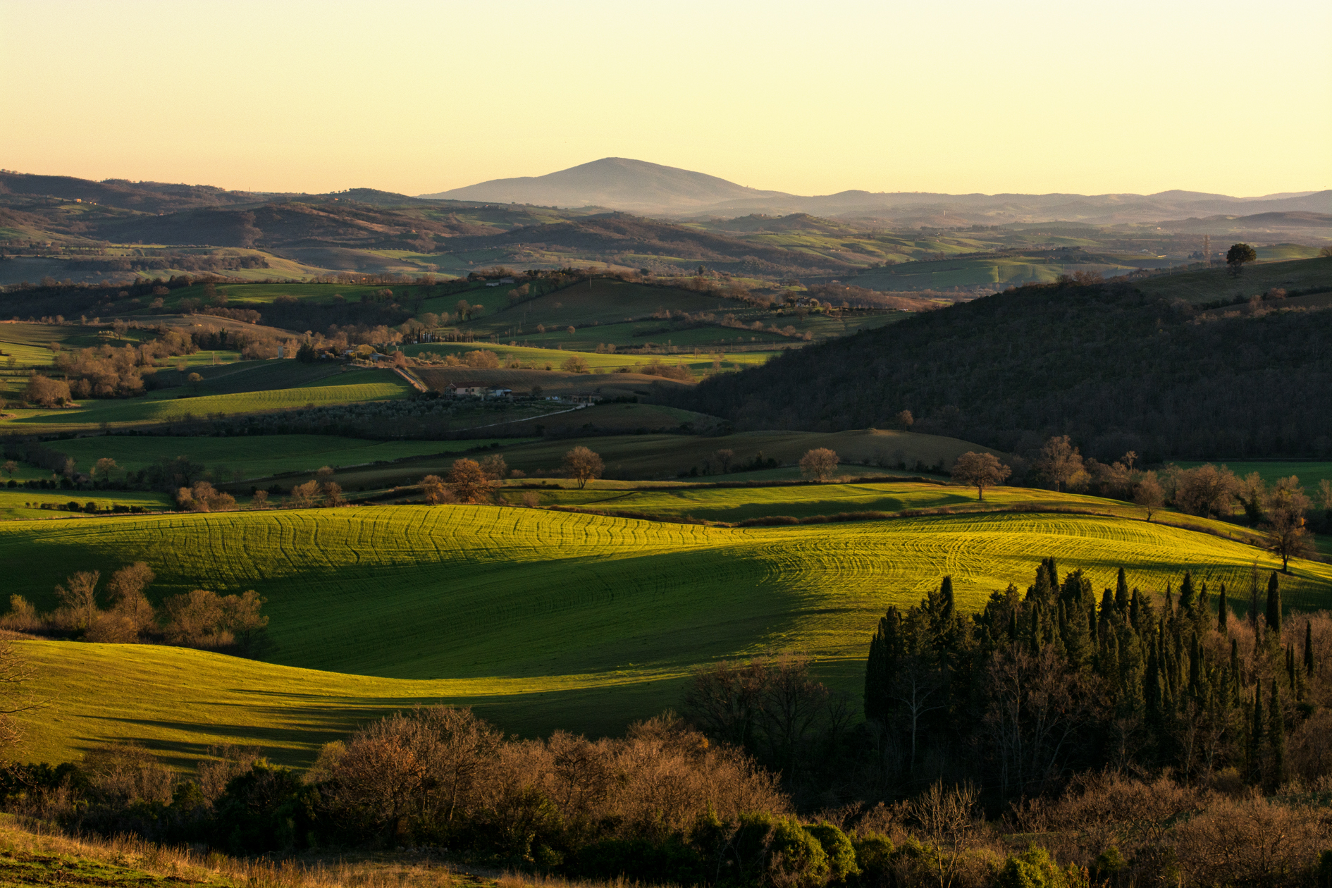 Maremma Grossetana