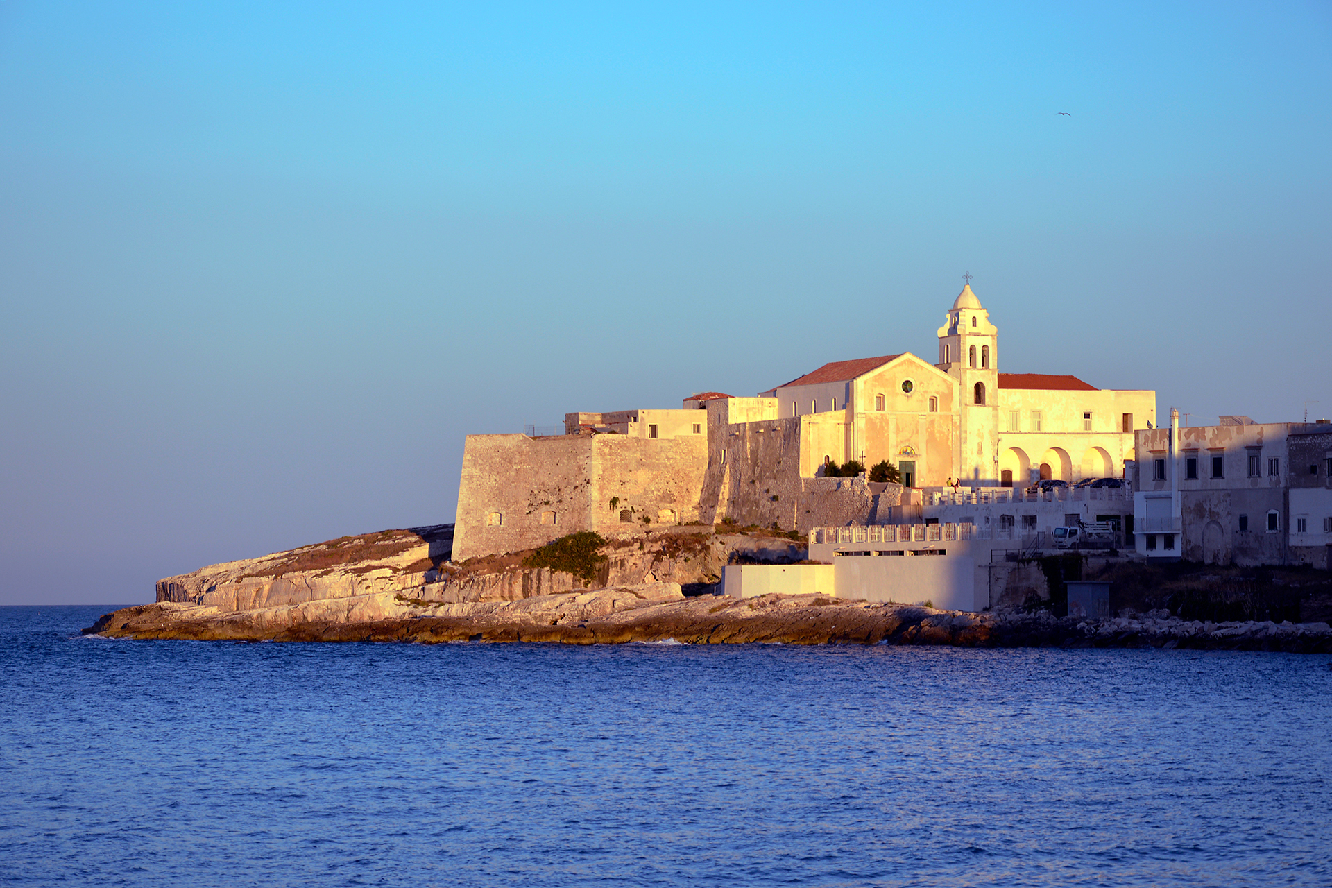 senza titolo