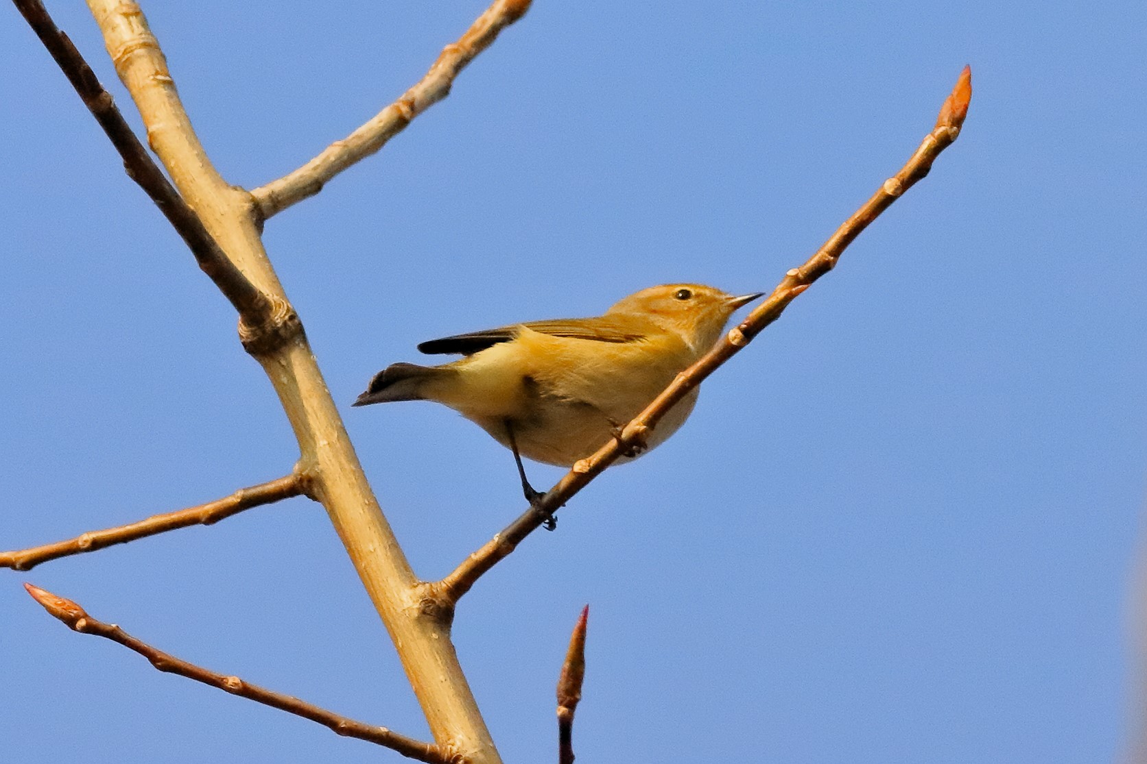 He 26 January 2024 - 0151