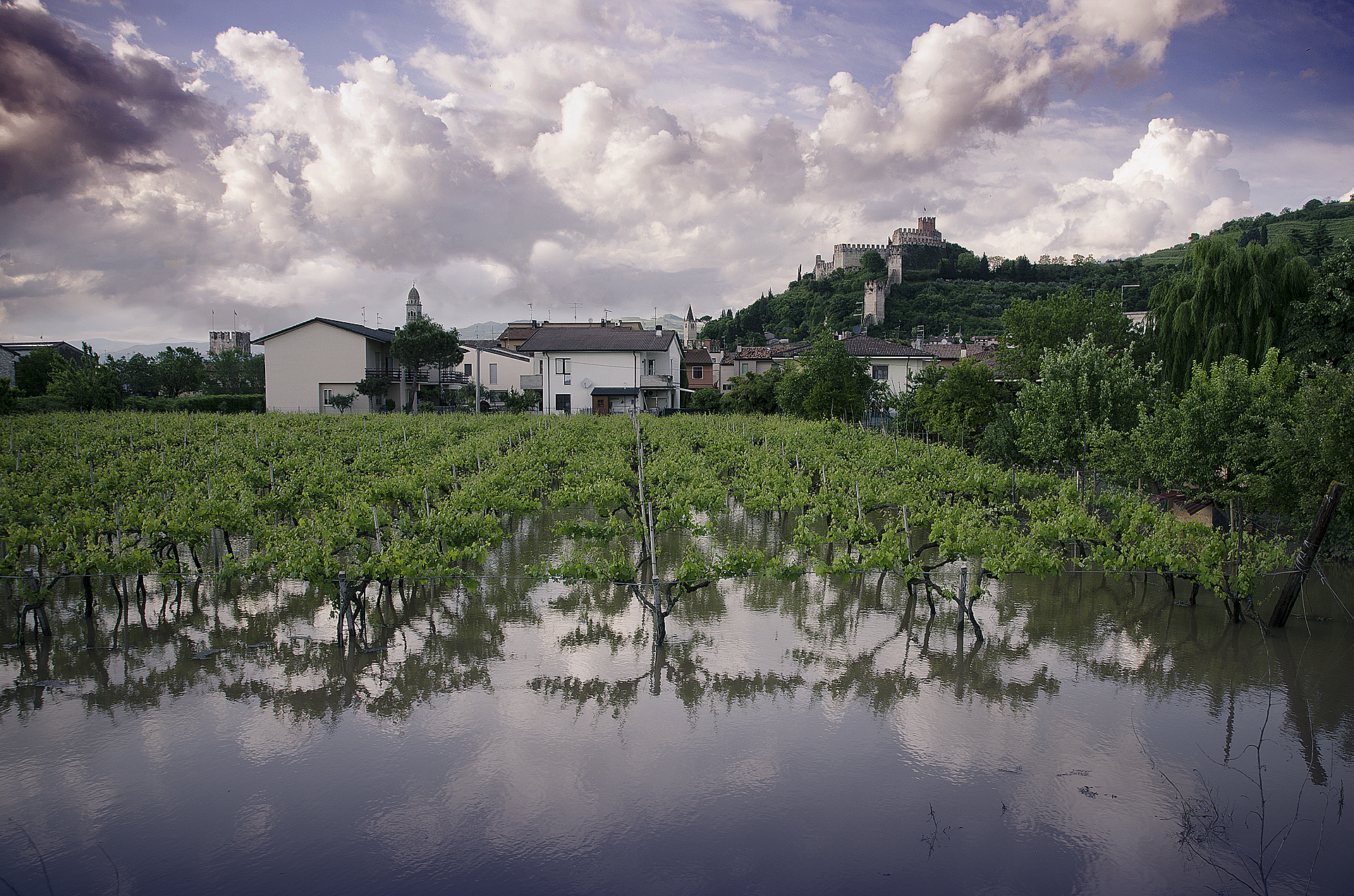 Anche quest'anno, riso.