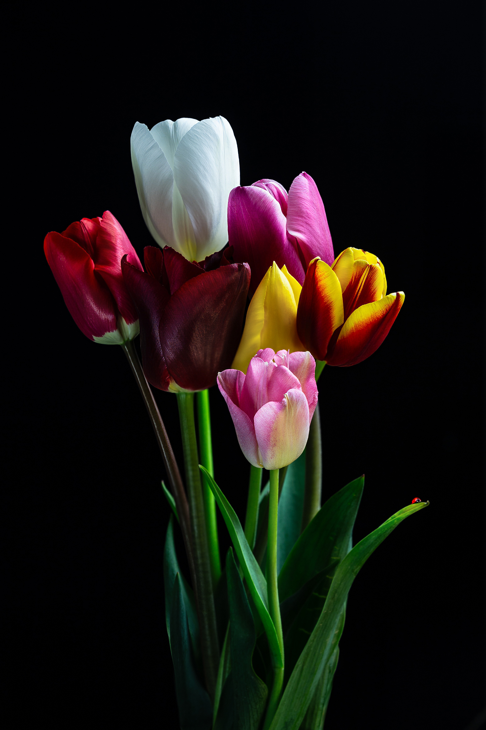 Two times three plus one + 1