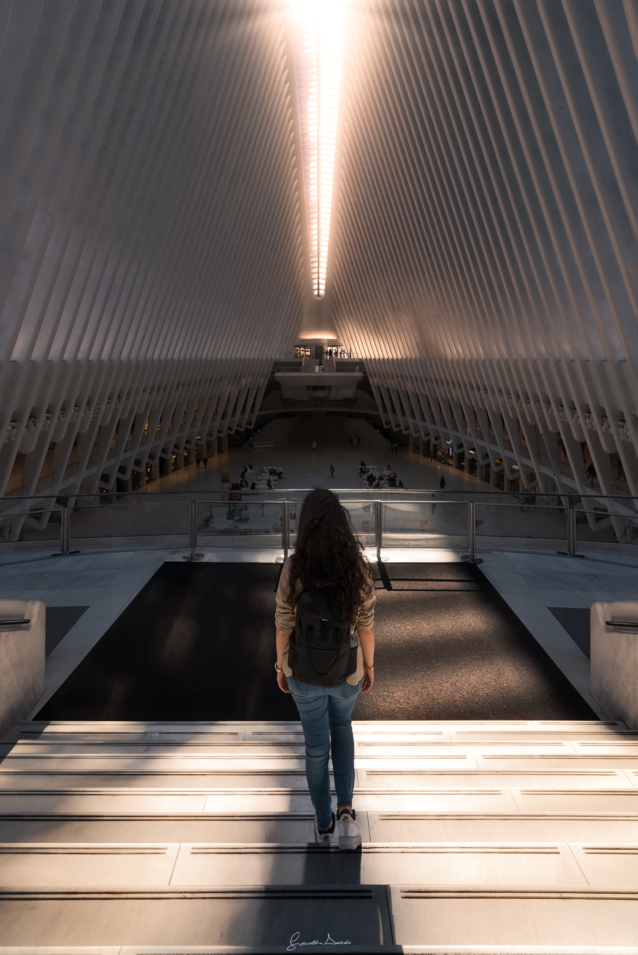 osservando the Oculus