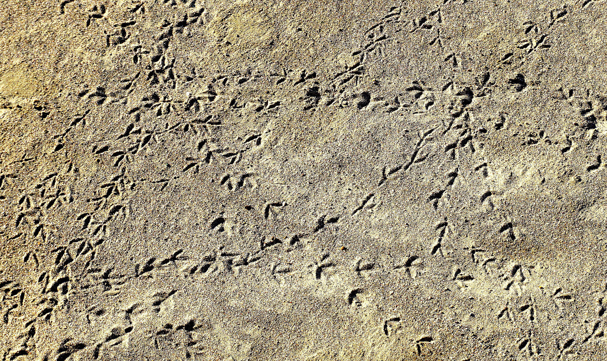 Per me e' andato di la'!!!