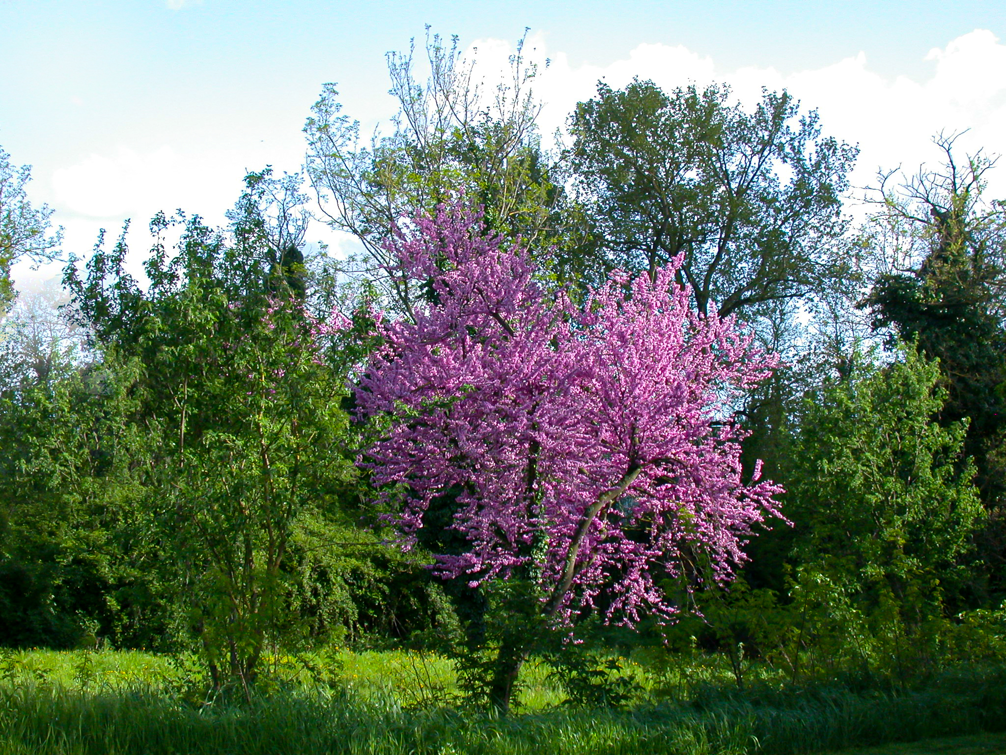 Untitled Photo