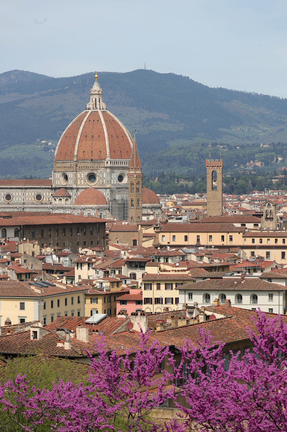 Santa Maria del Fiore