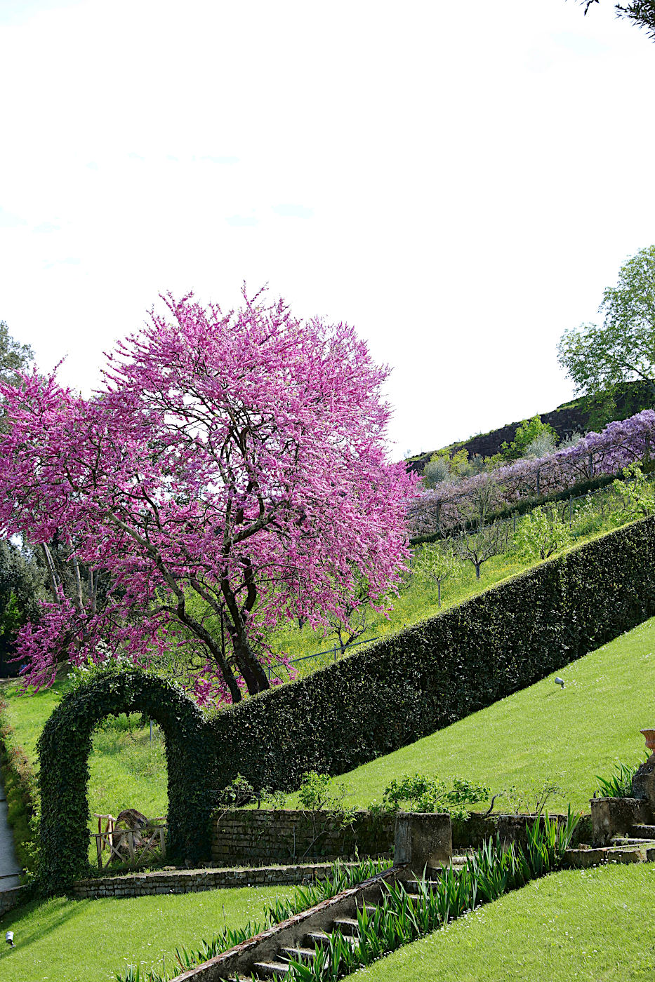 Parco Bardini, Firenze