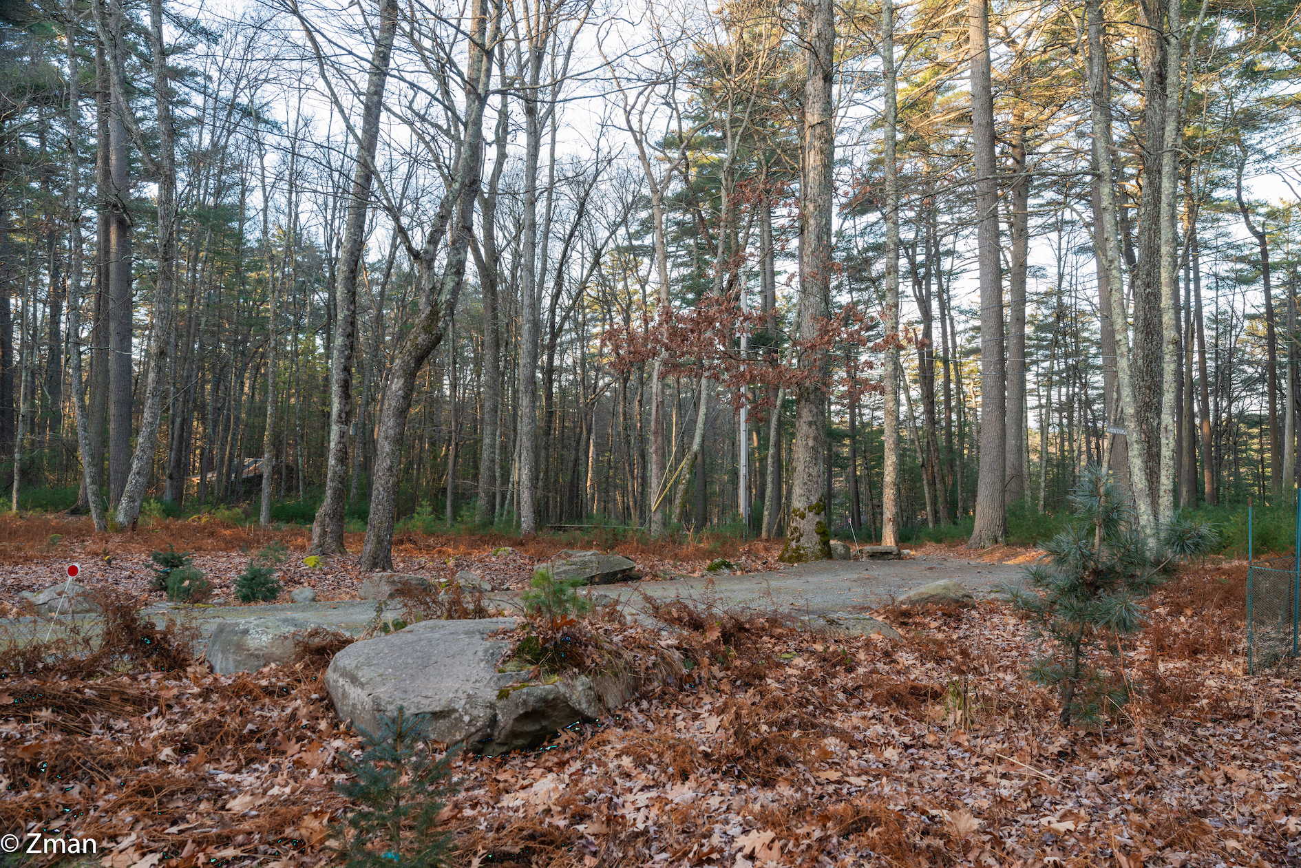 Forestburg Esplorato