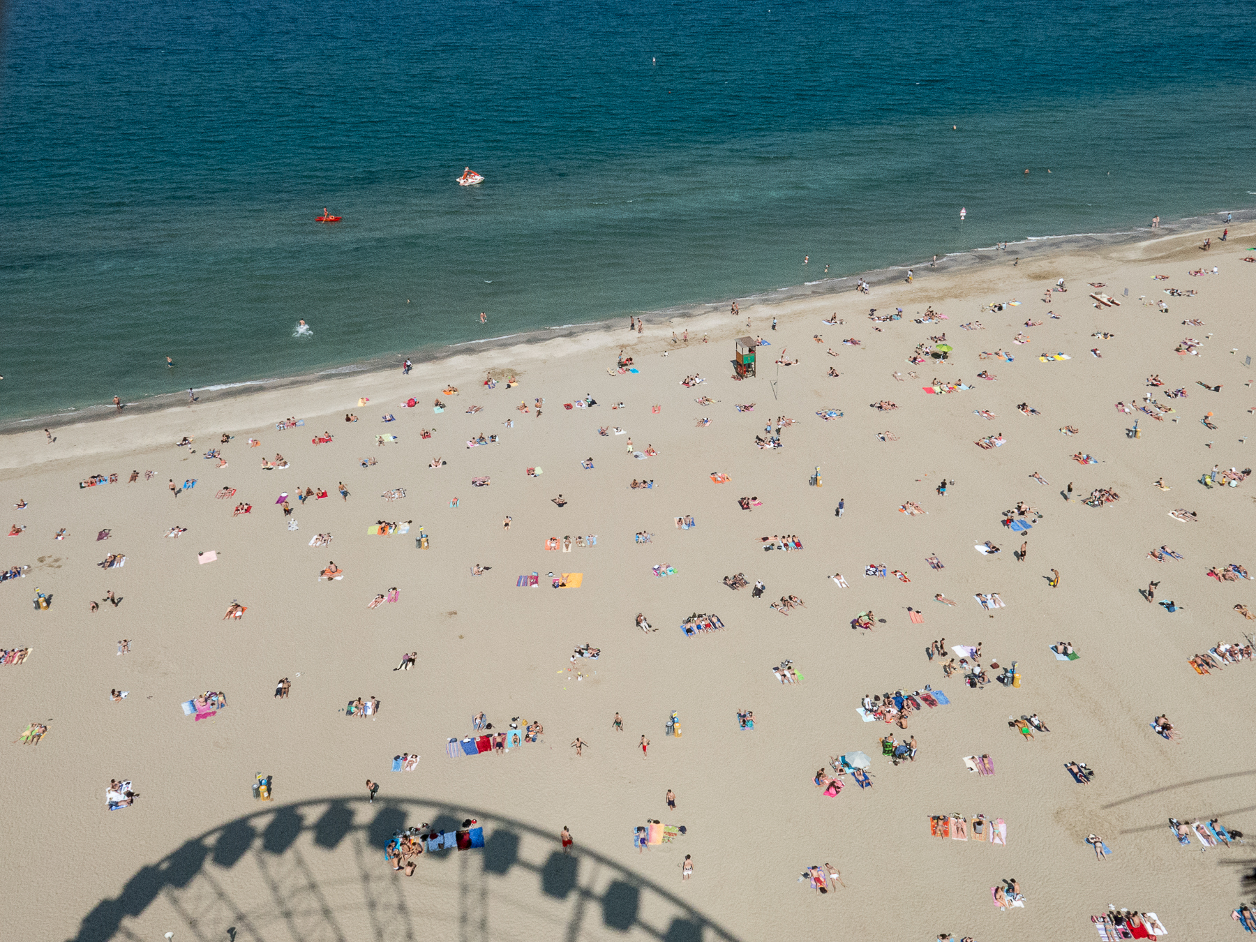Il Gigante E La Formica