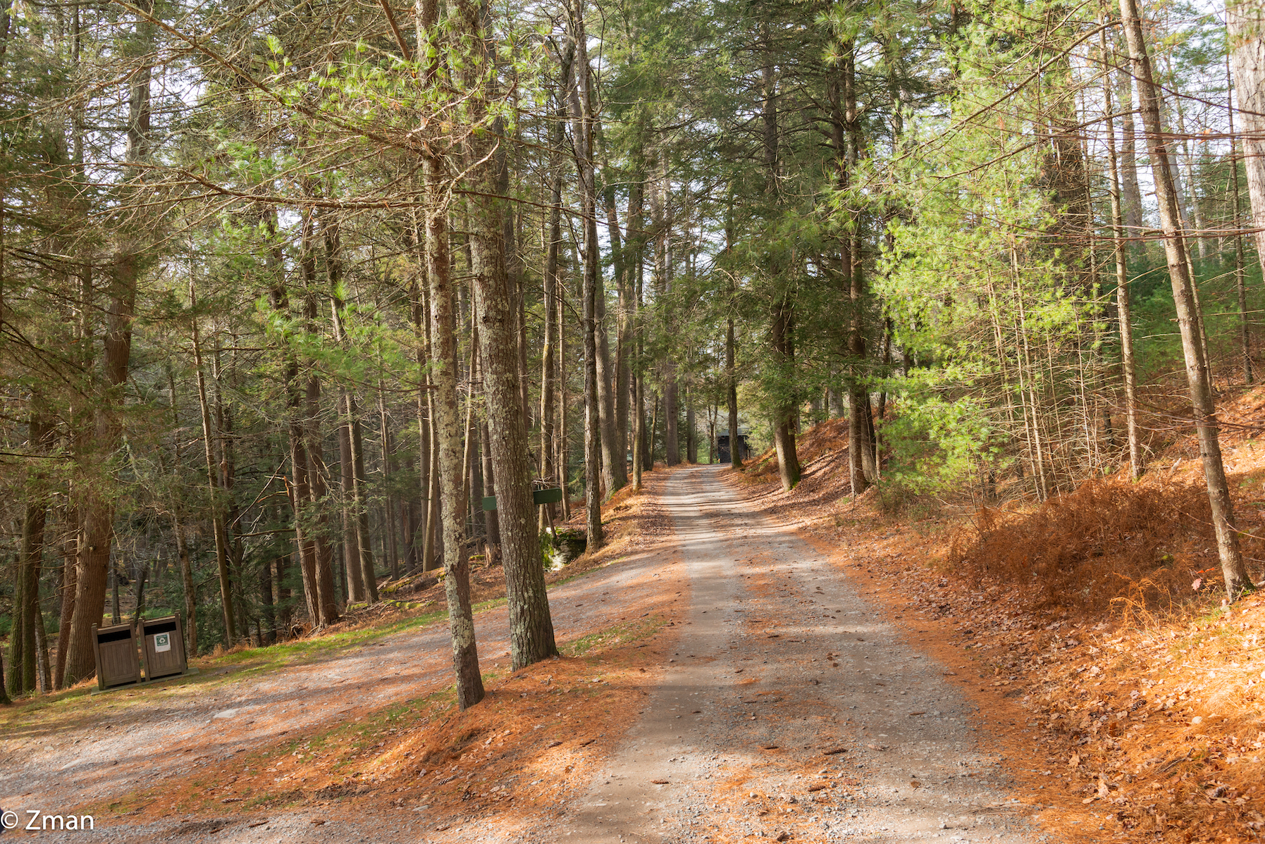 Forestburg Esplorato