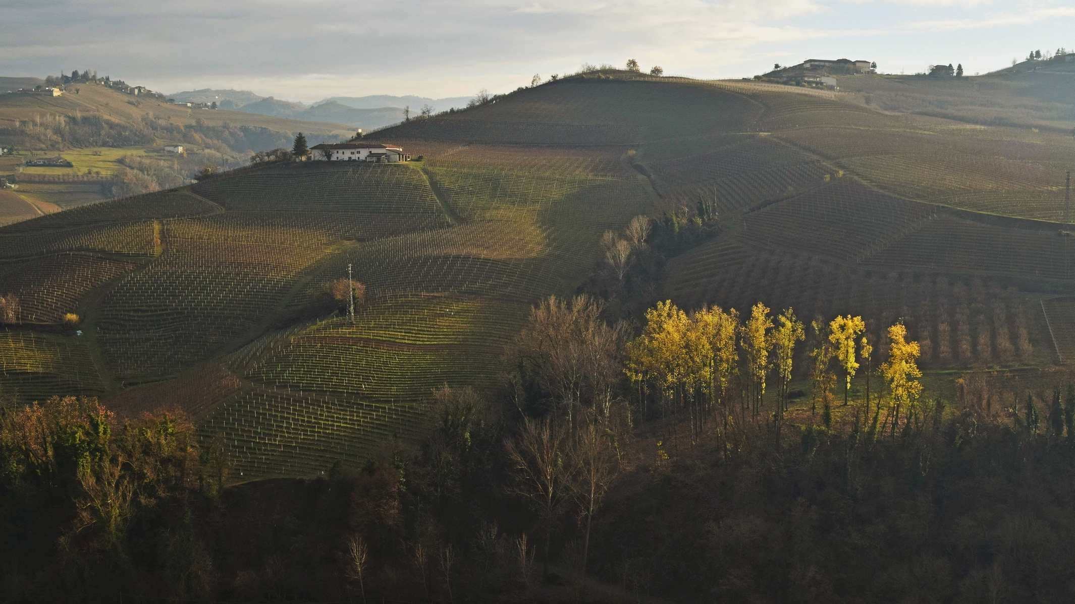 sfumature di luce nelle langhe