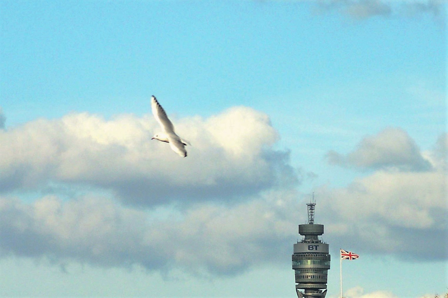 Dal lato di Hyde Park