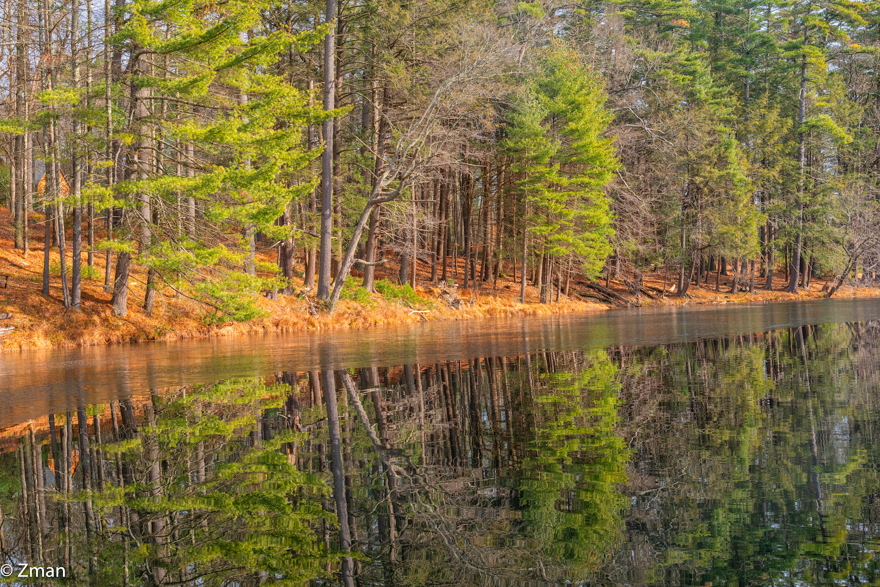 Forestburg Esplorato