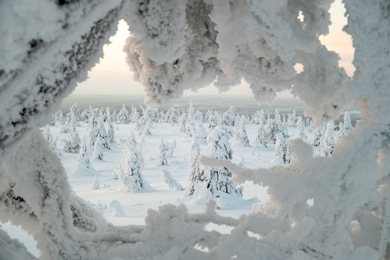 The snow cave
