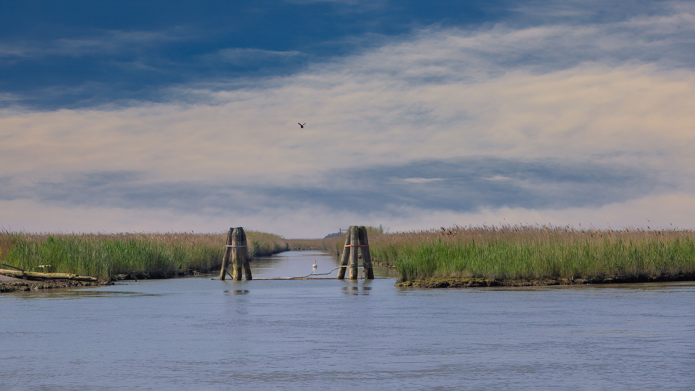Porto Tolle, Po della Donzella