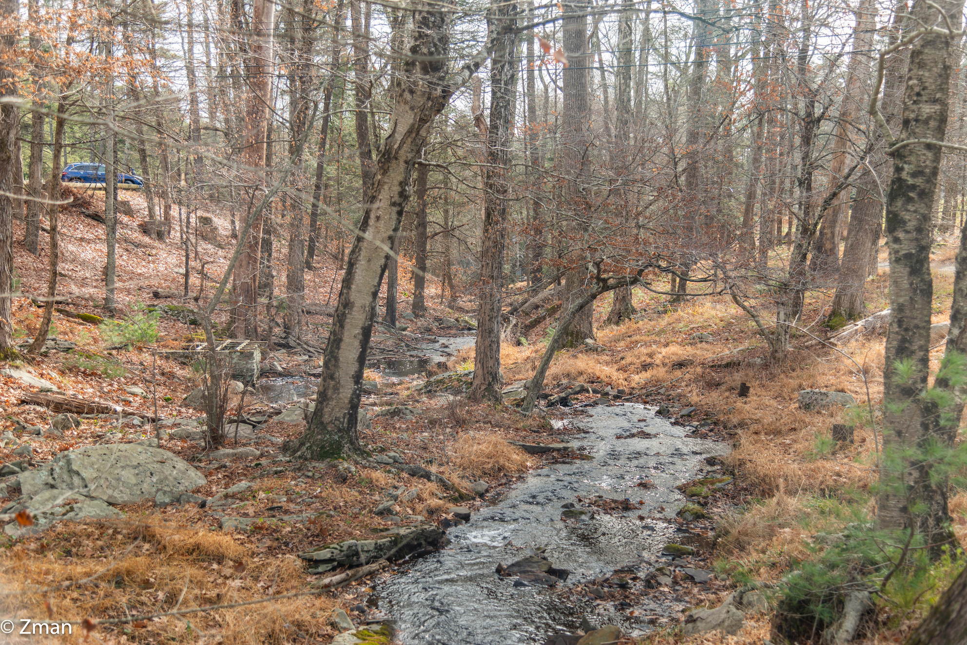Forestburg Esplorato