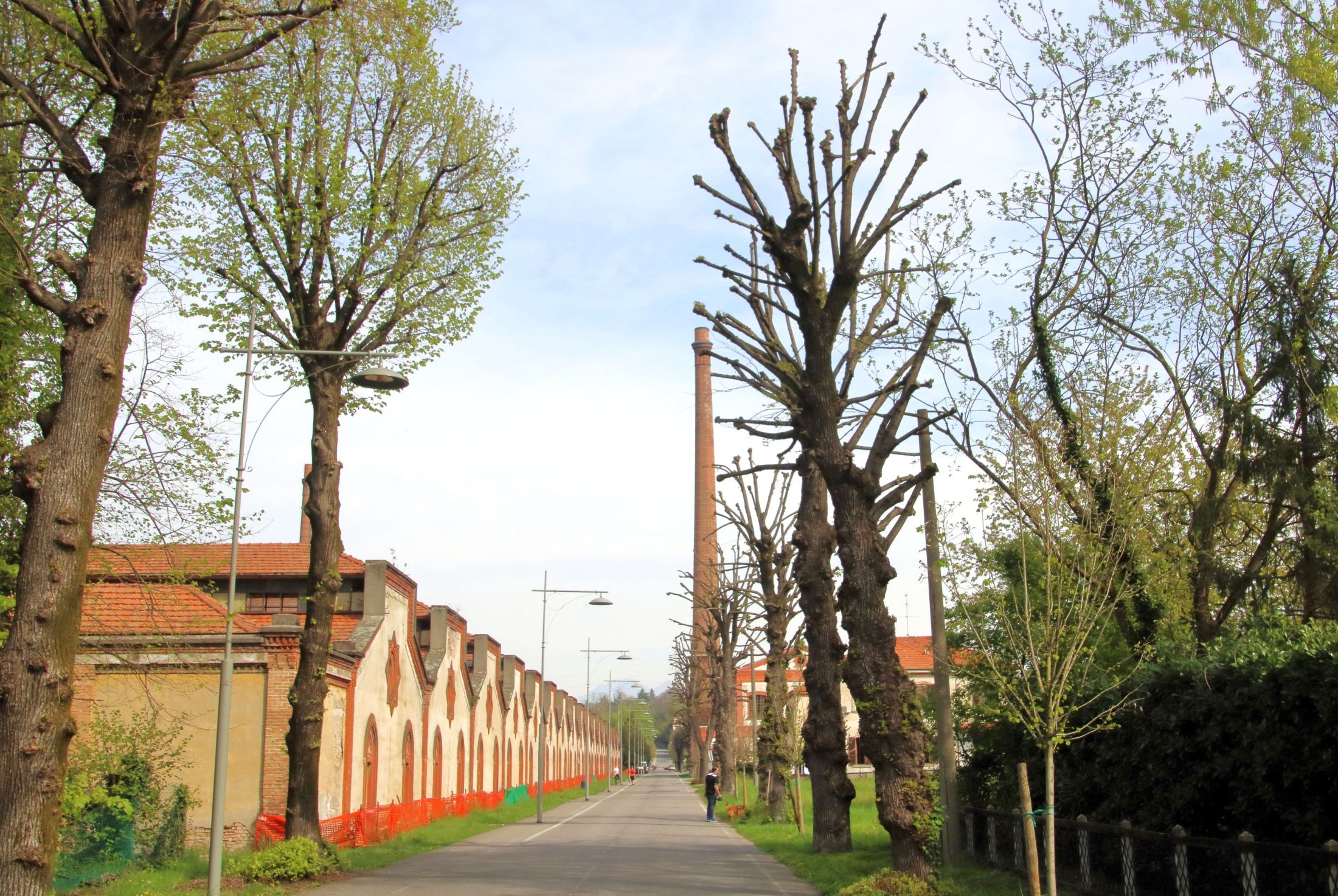 Gli alberi e la ciminiera