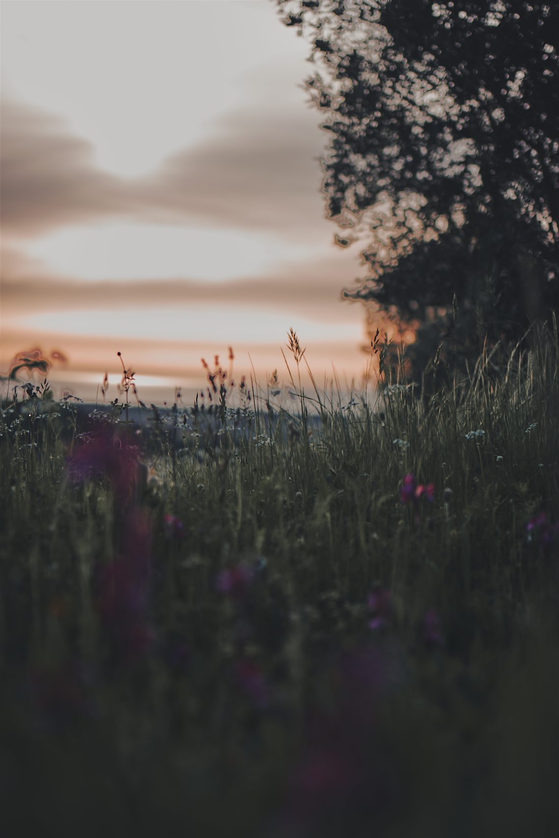 Untitled Photo