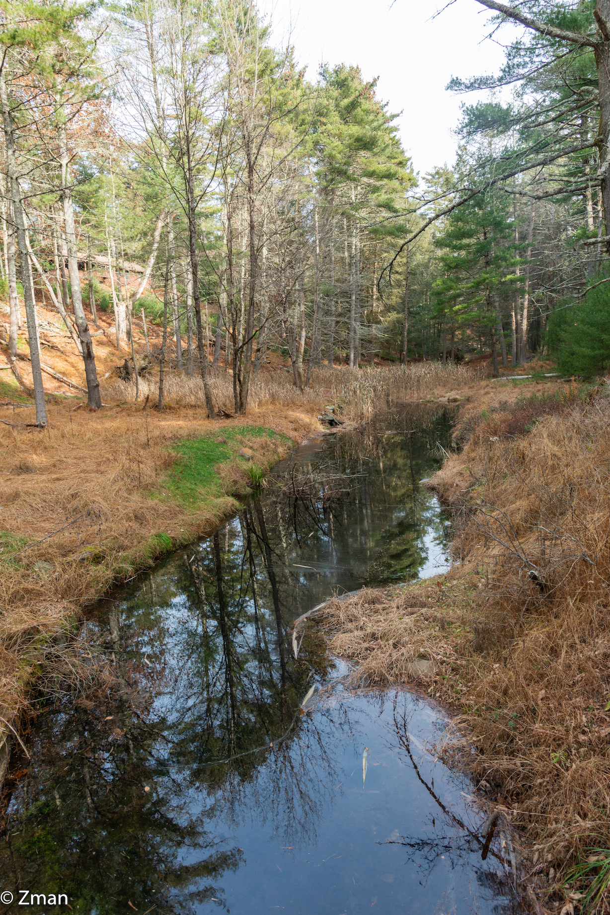 Forestburg Esplorato