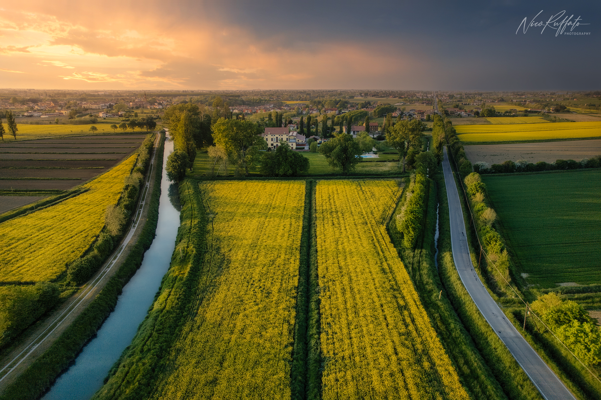 L'allegria dei campi di colza