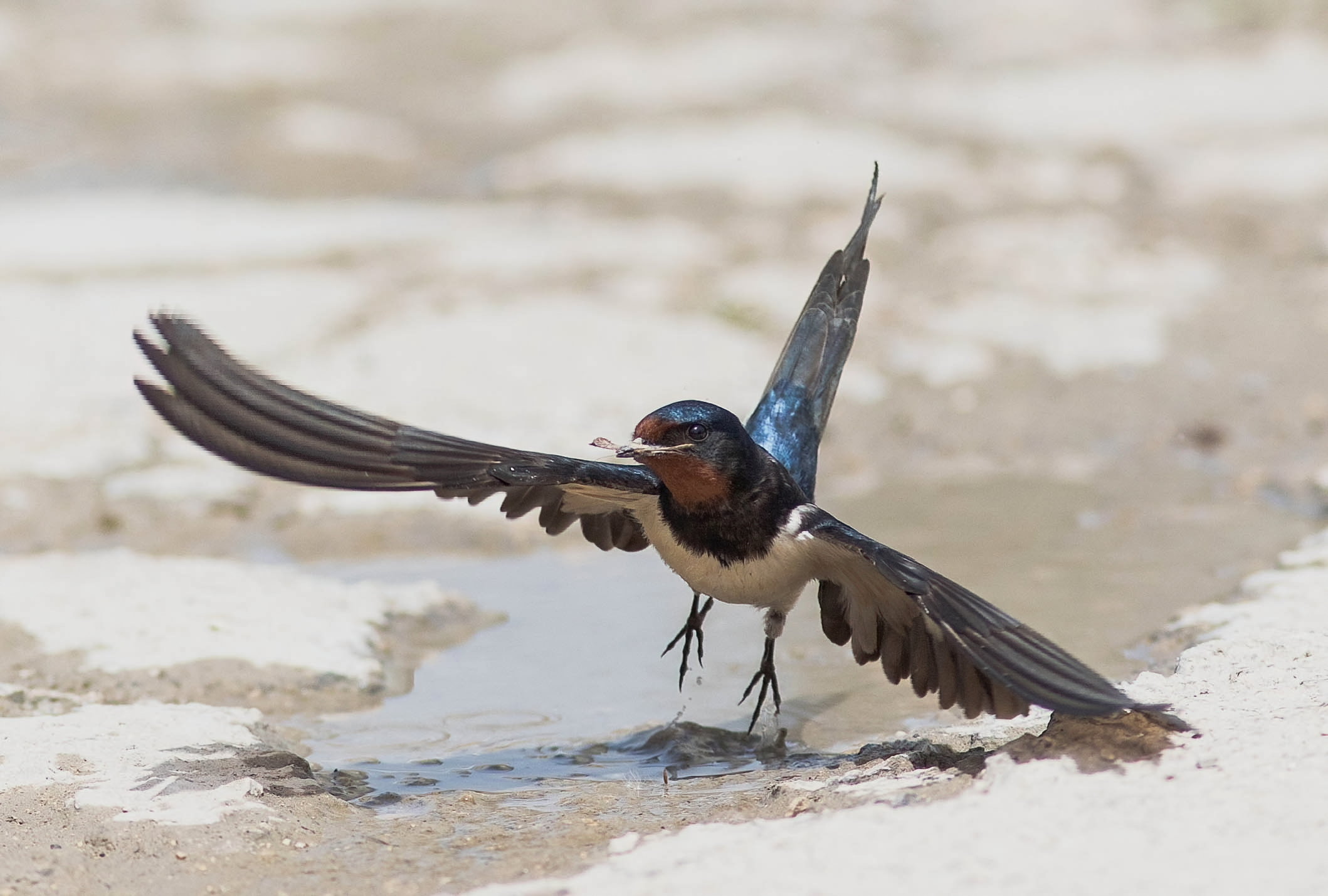 Si riparte, ristrutturazione in corso
