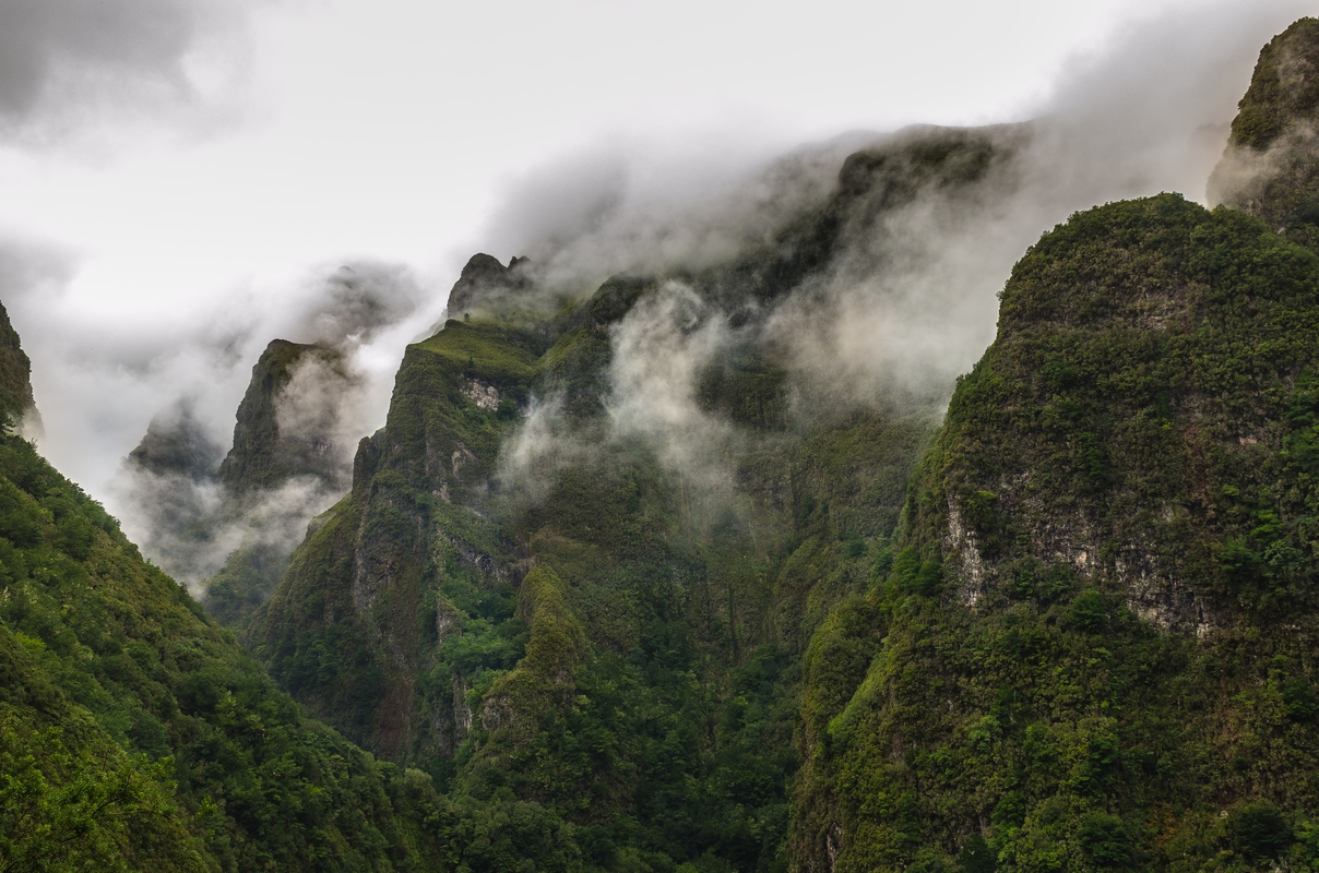 Madeira - Calderao Verde - Mystic Mountain