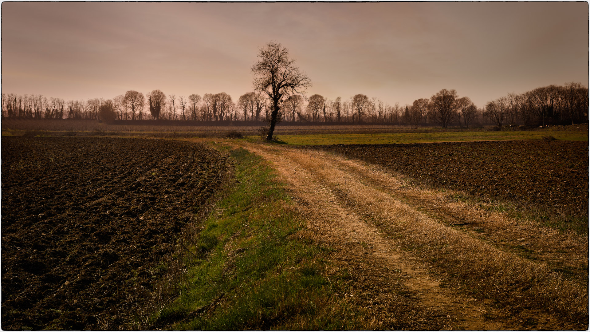 In the "Bassa" of Brescia