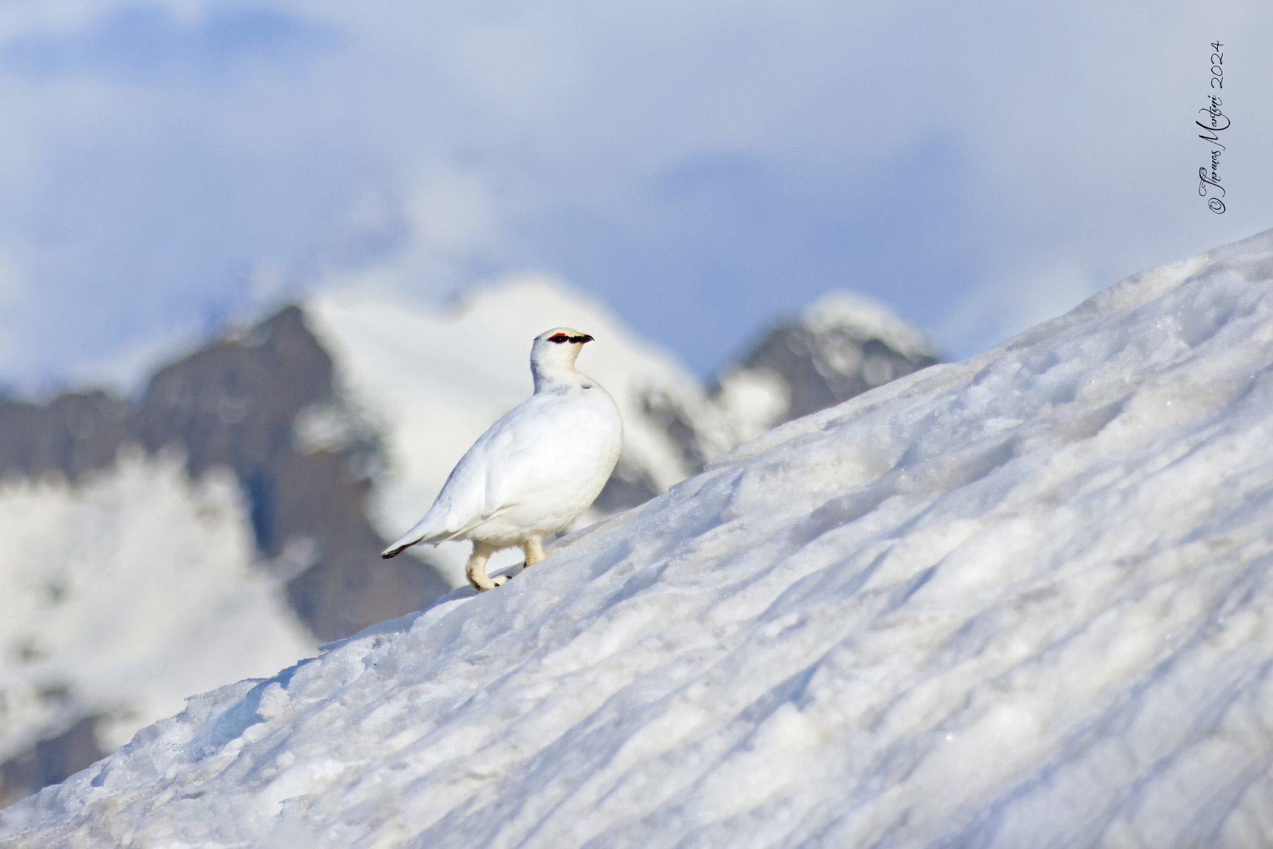 ...e in cima ho trovato un'amica!!!