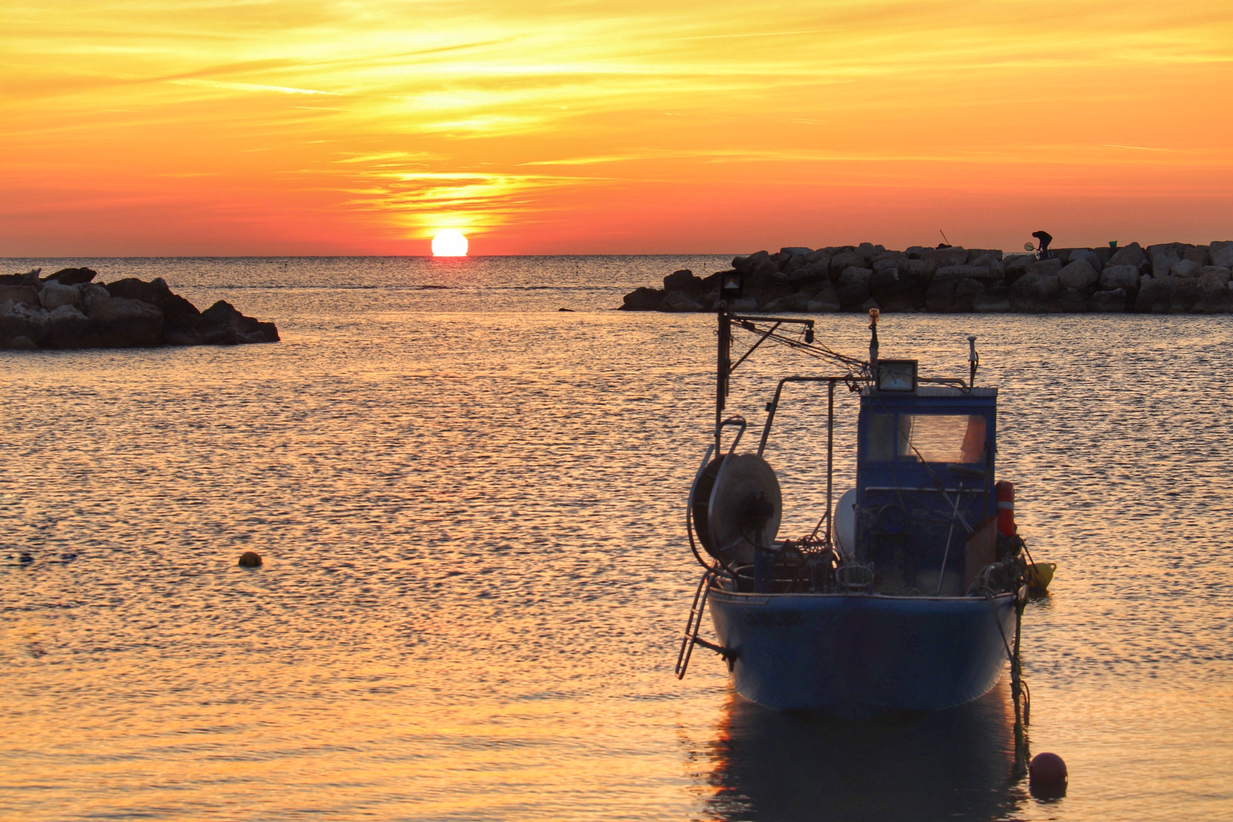 Canon 77D