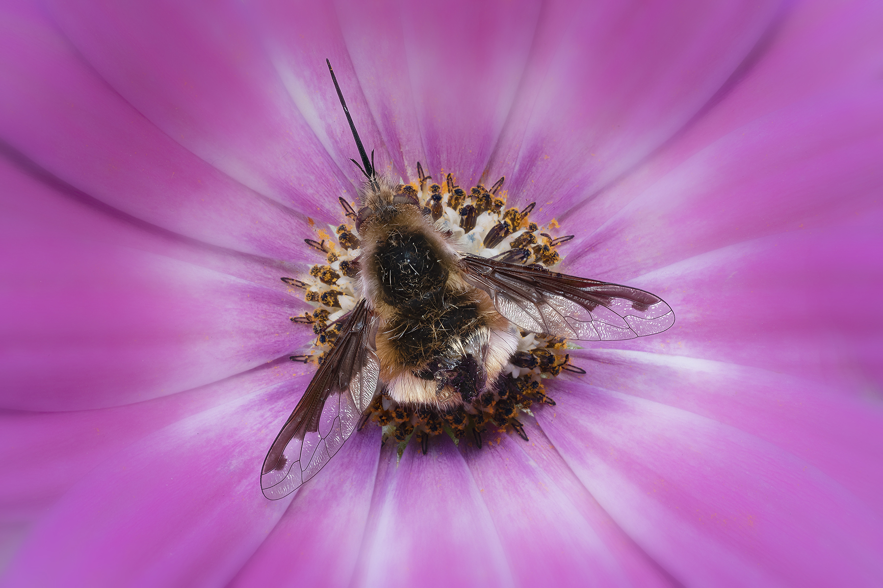 Il tachimetro naturale 70 Km/h