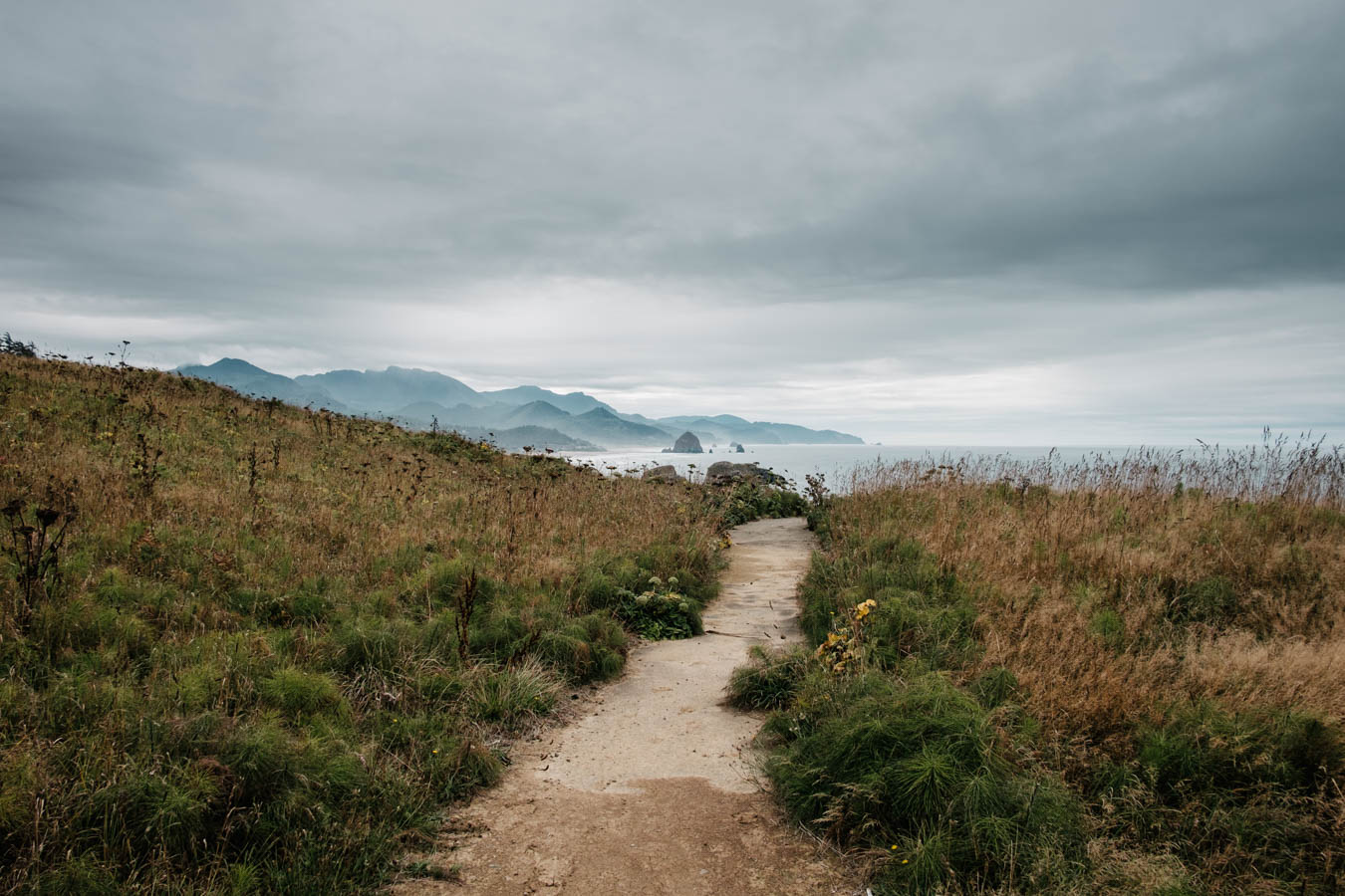 A viewpoint, Ecola State Park, OR.