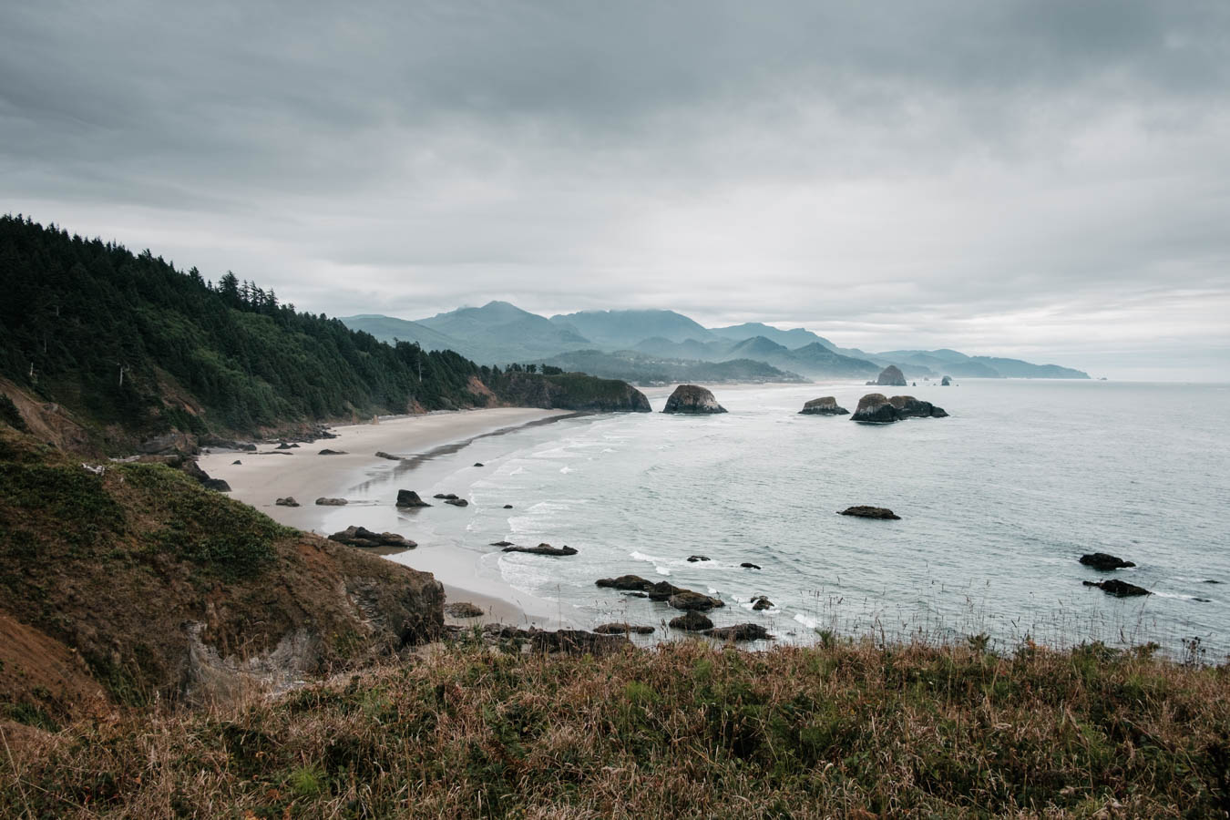 A viewpoint, Ecola State Park, OR.