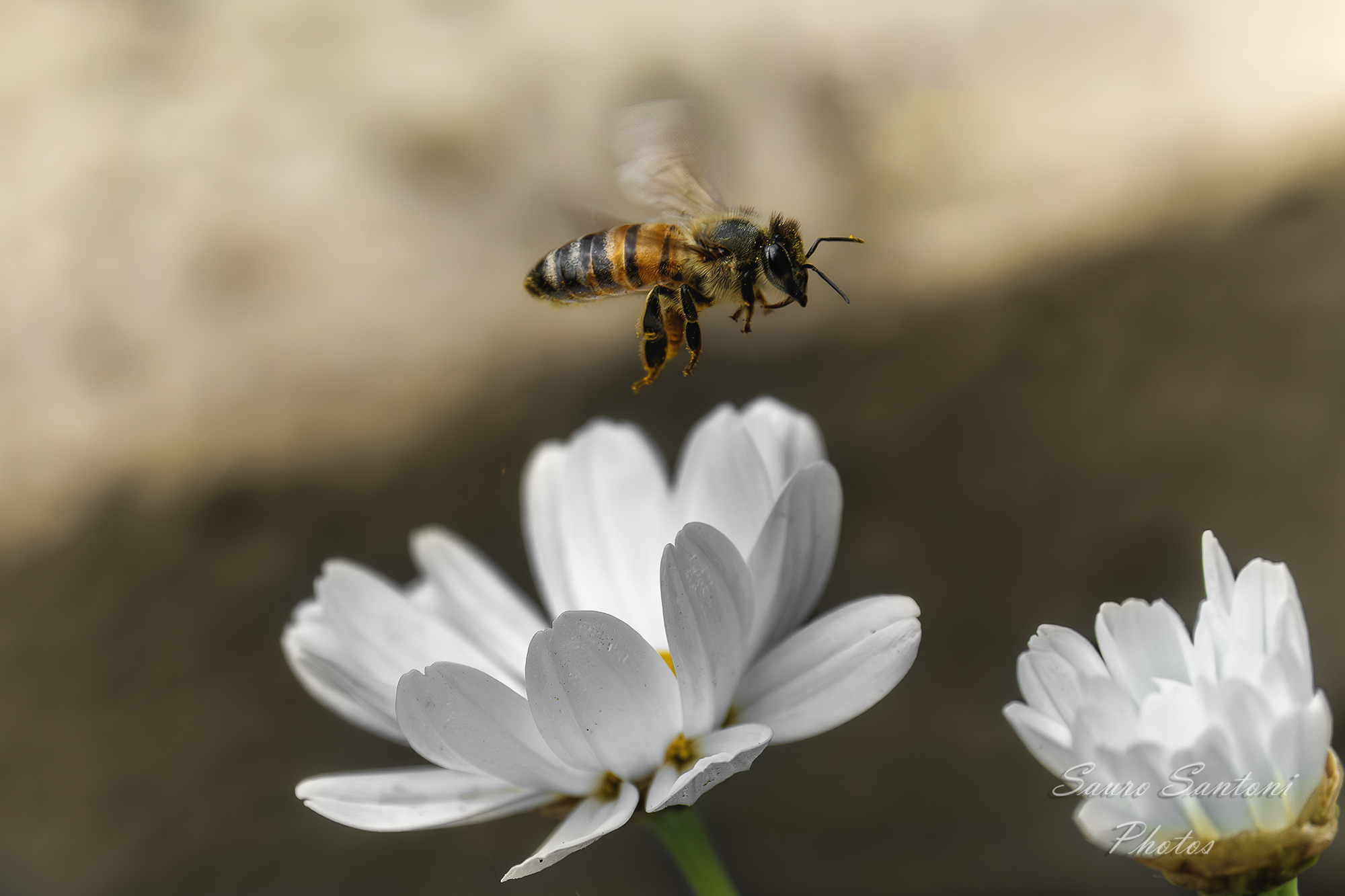 Today's Macro