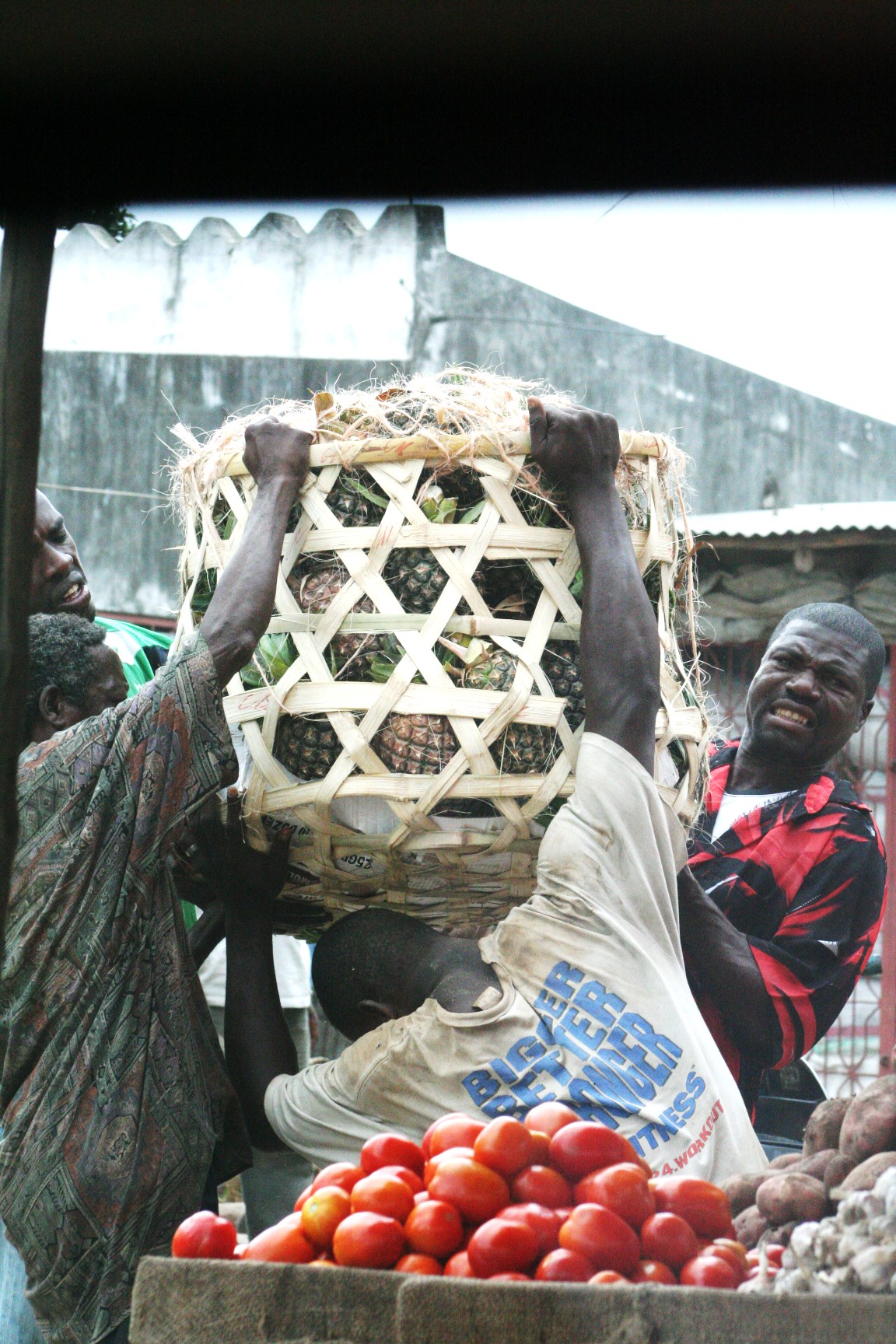 But how much do pineapples weigh