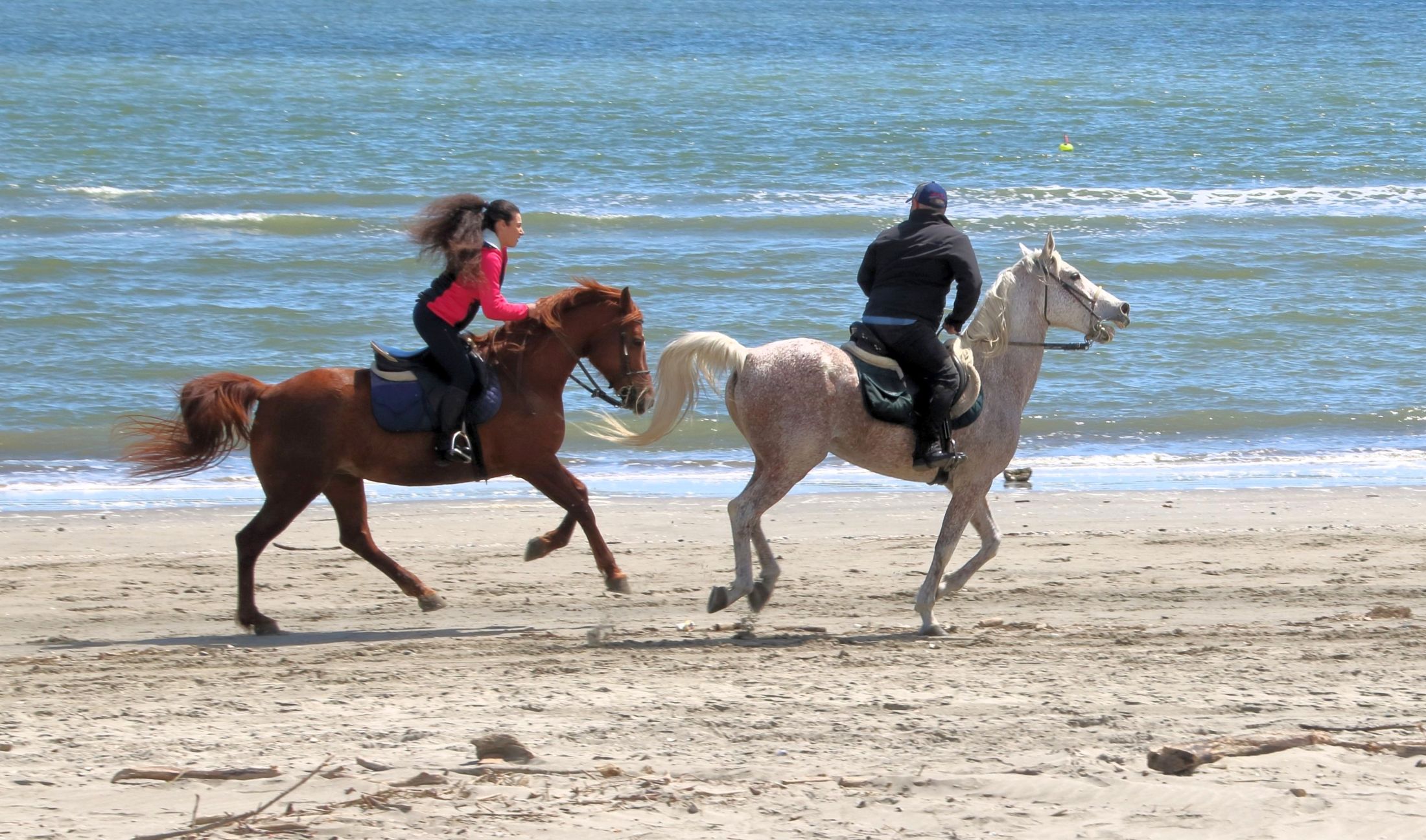 Code e capelli al vento