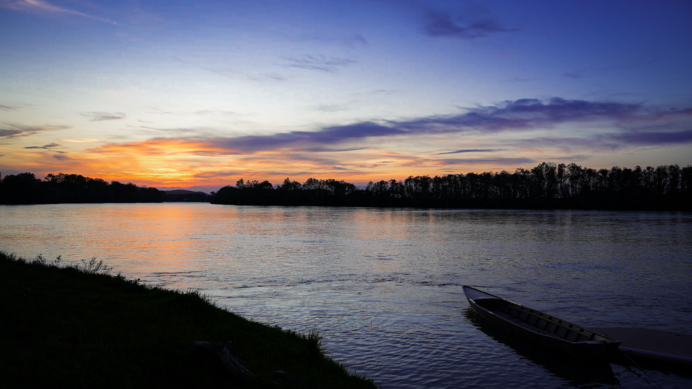 Something in the orange